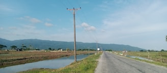 A rural road stretches into the distance, flanked by grassy fields and irrigation ditches. Power lines run alongside the road with a backdrop of distant mountains under a bright blue sky. Scattered trees and small buildings are visible on the horizon.