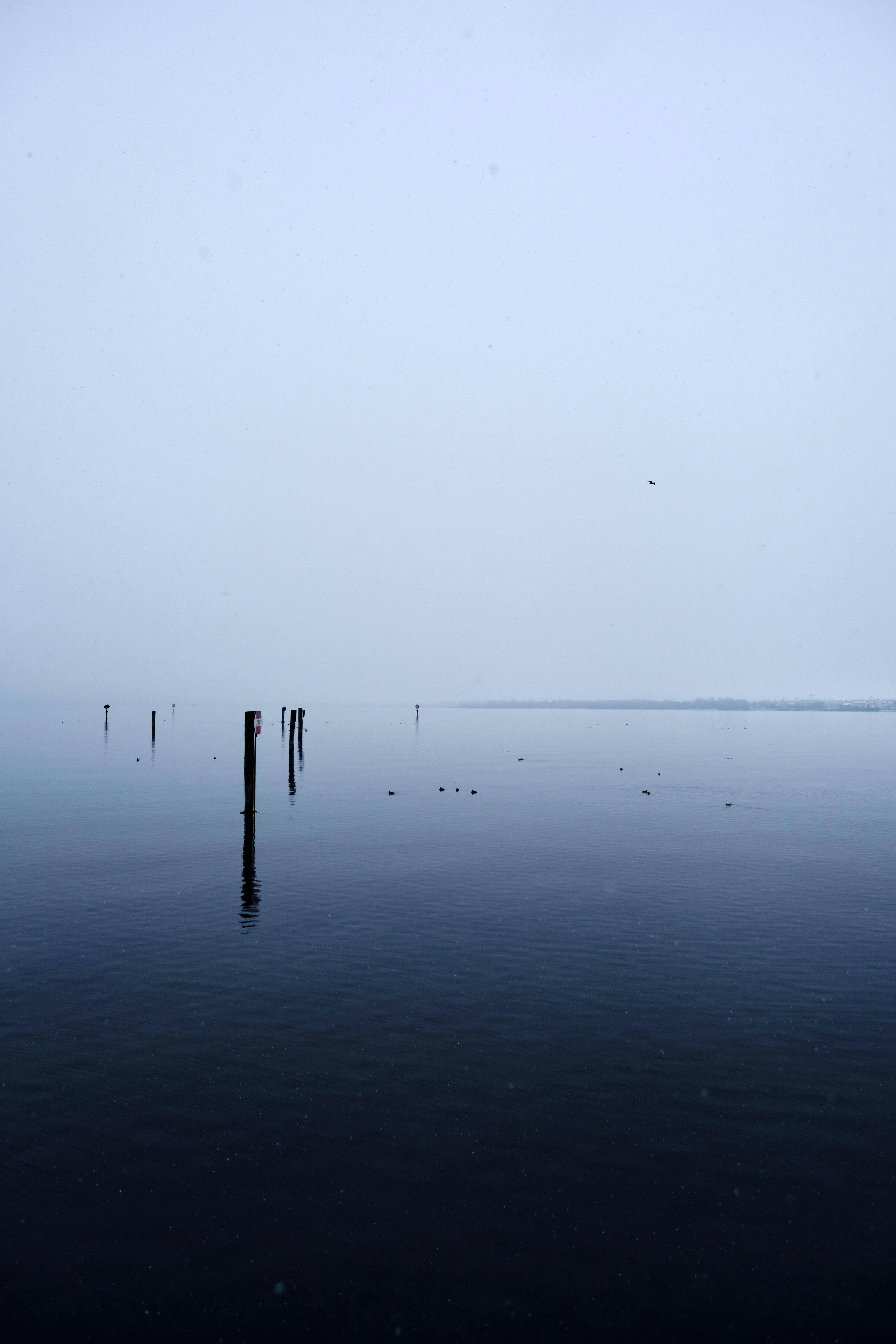 Photo by marcus_ganahl