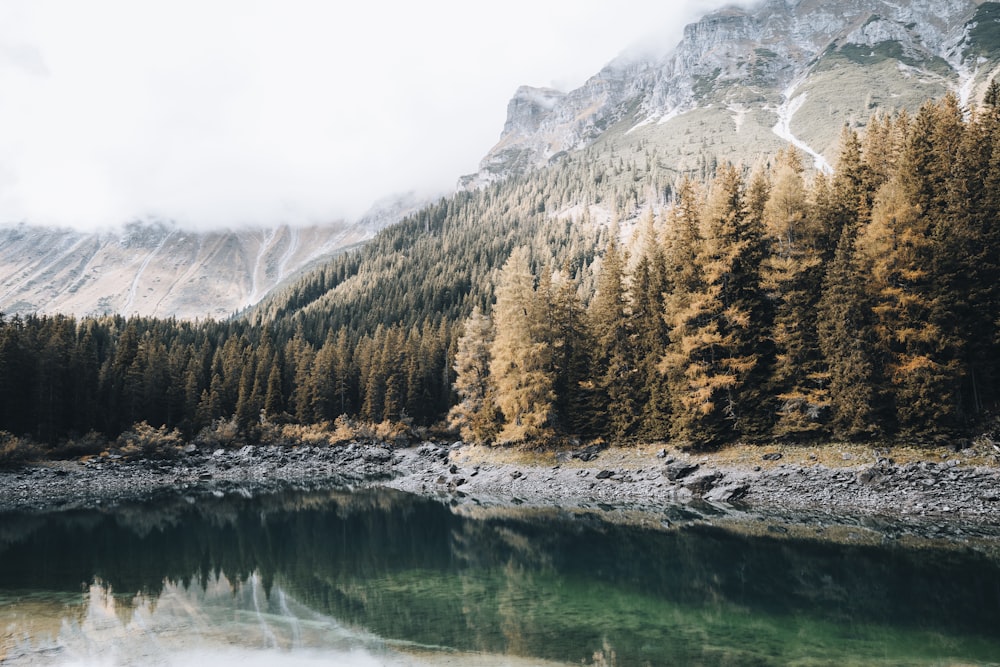 a lake with trees and mountains in the background