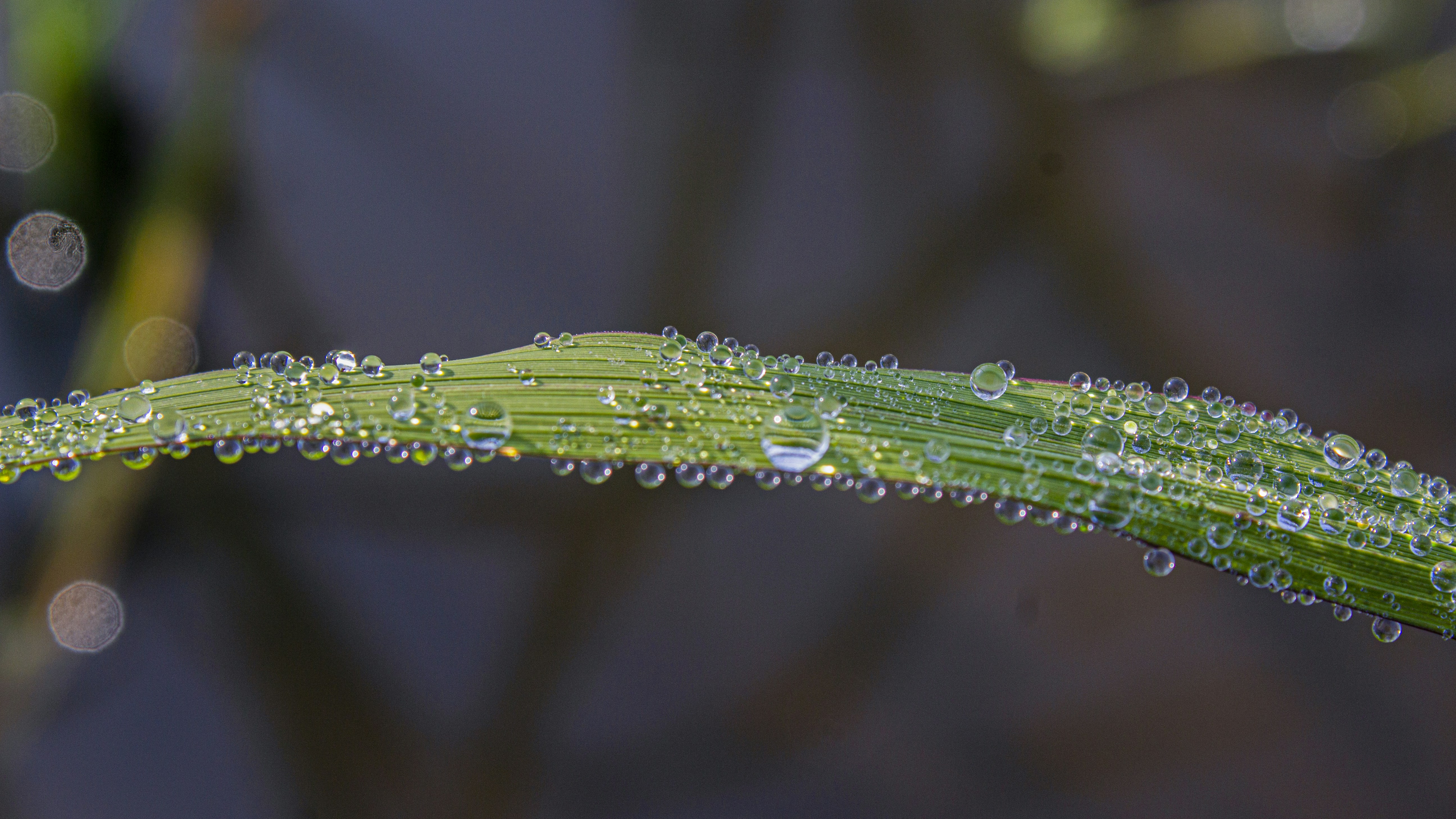 Photo by ibrahimshoikat