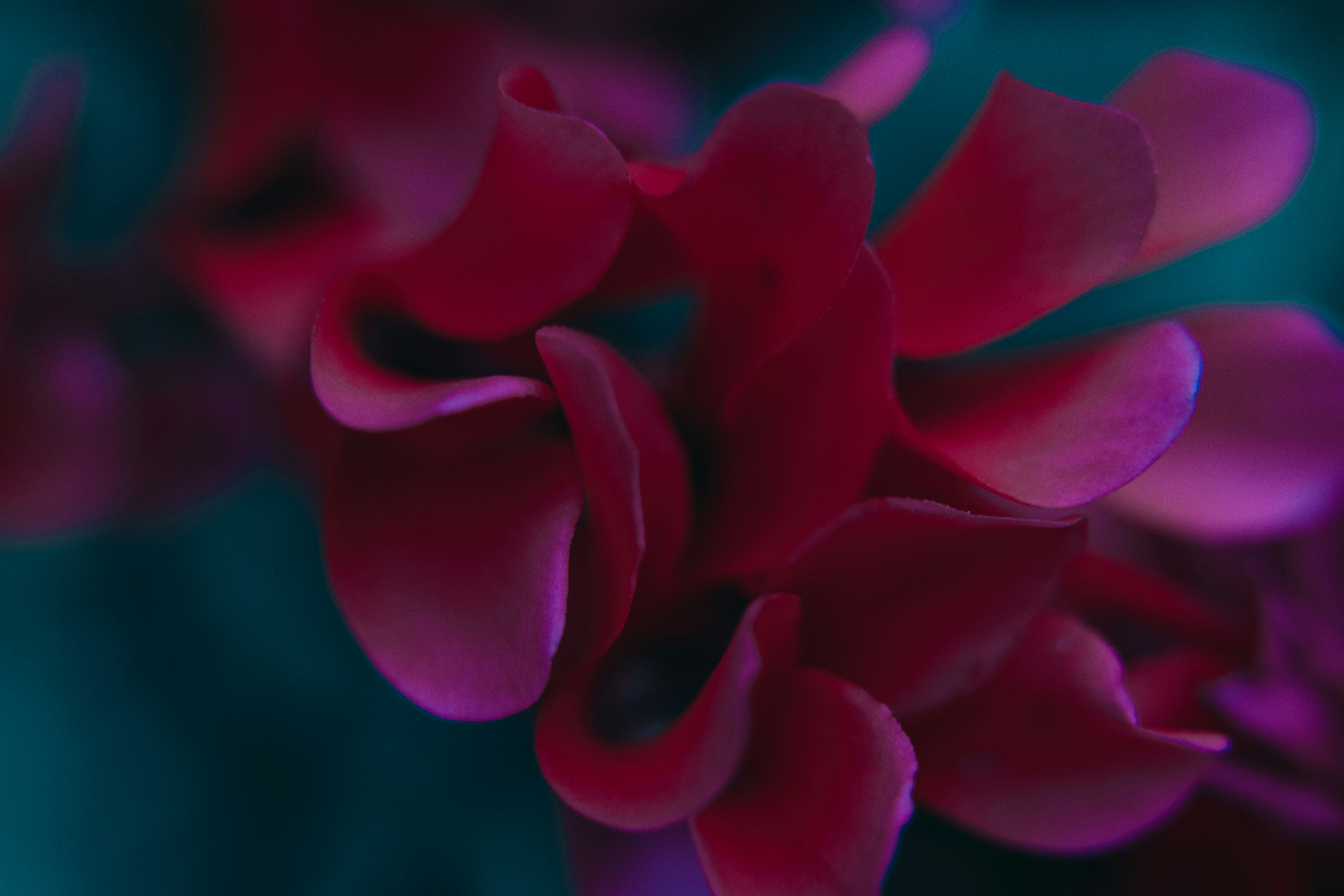 Photo by anamnesis33