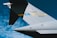 A close-up view of the tail section of a military aircraft with the text 'AMC CHARLESTON' and '50107' on it, featuring an American flag and a blue stripe with a symbol. The background consists of a clear blue sky with scattered clouds.