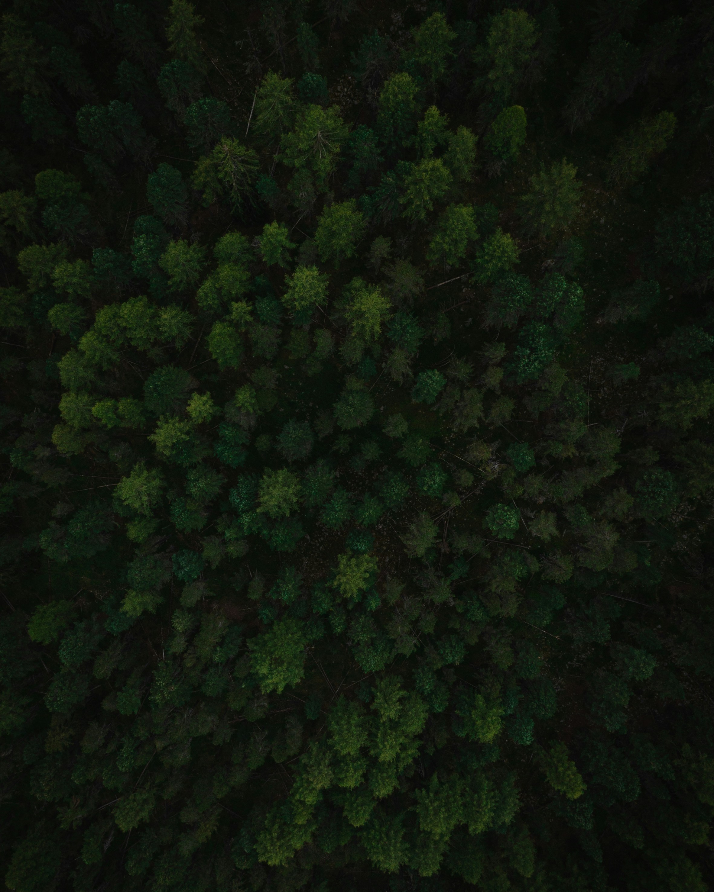 Photo by pierrejeanneret