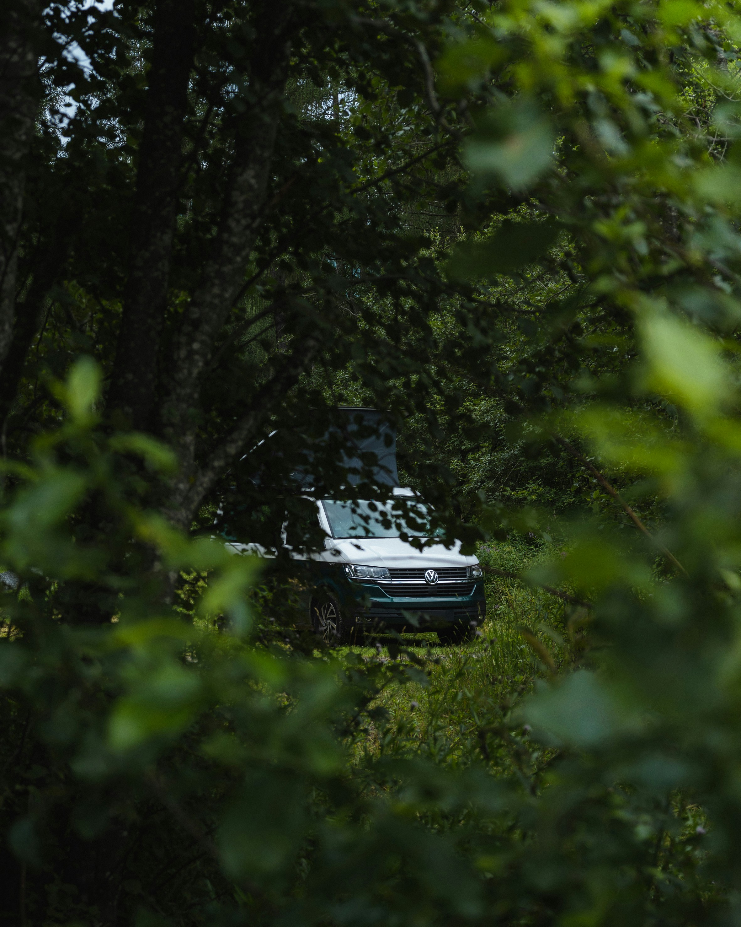a car parked in a wooded area
