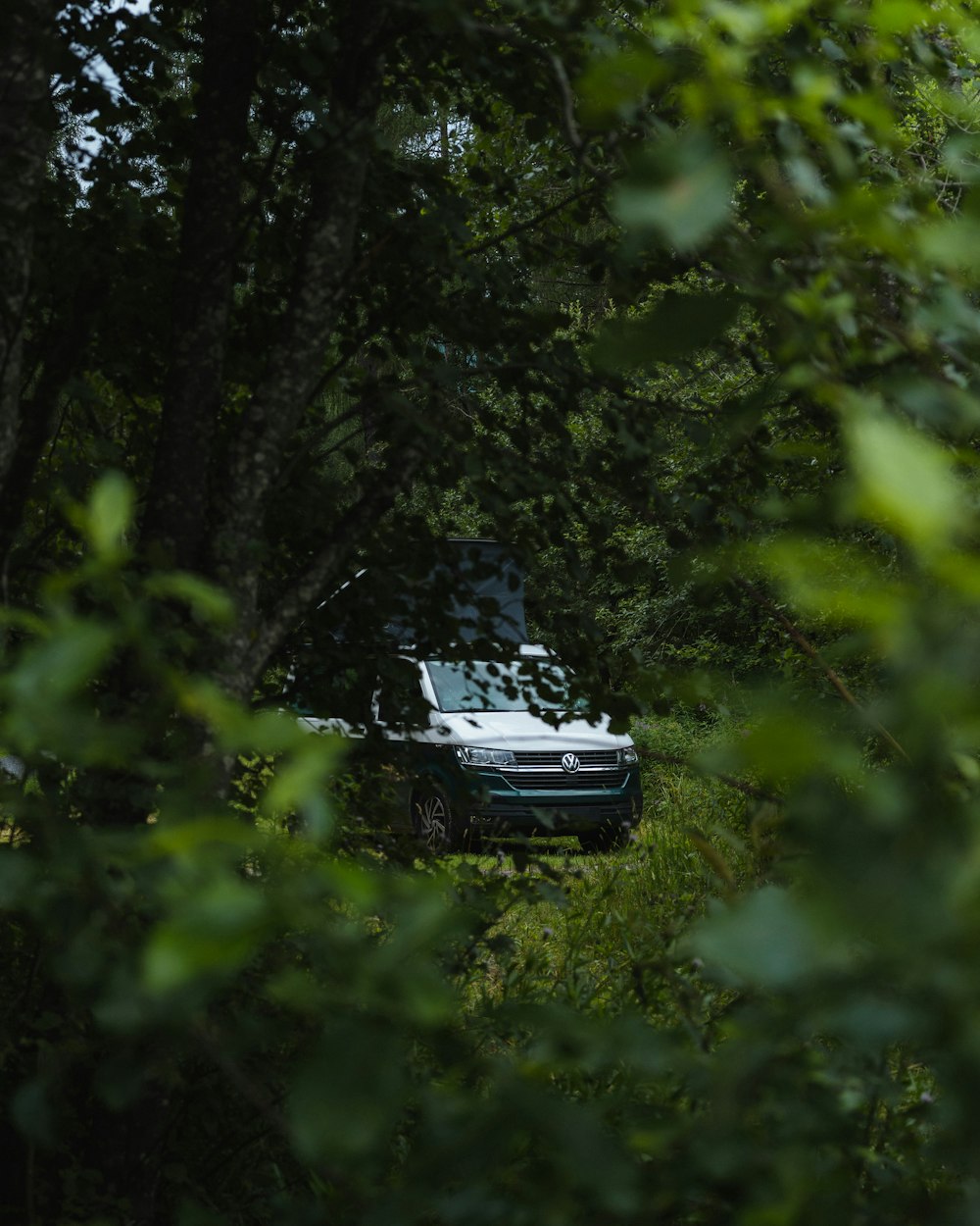 a car parked in a wooded area