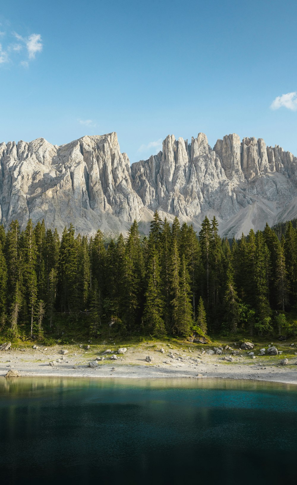 a lake with trees and a mountain in the background