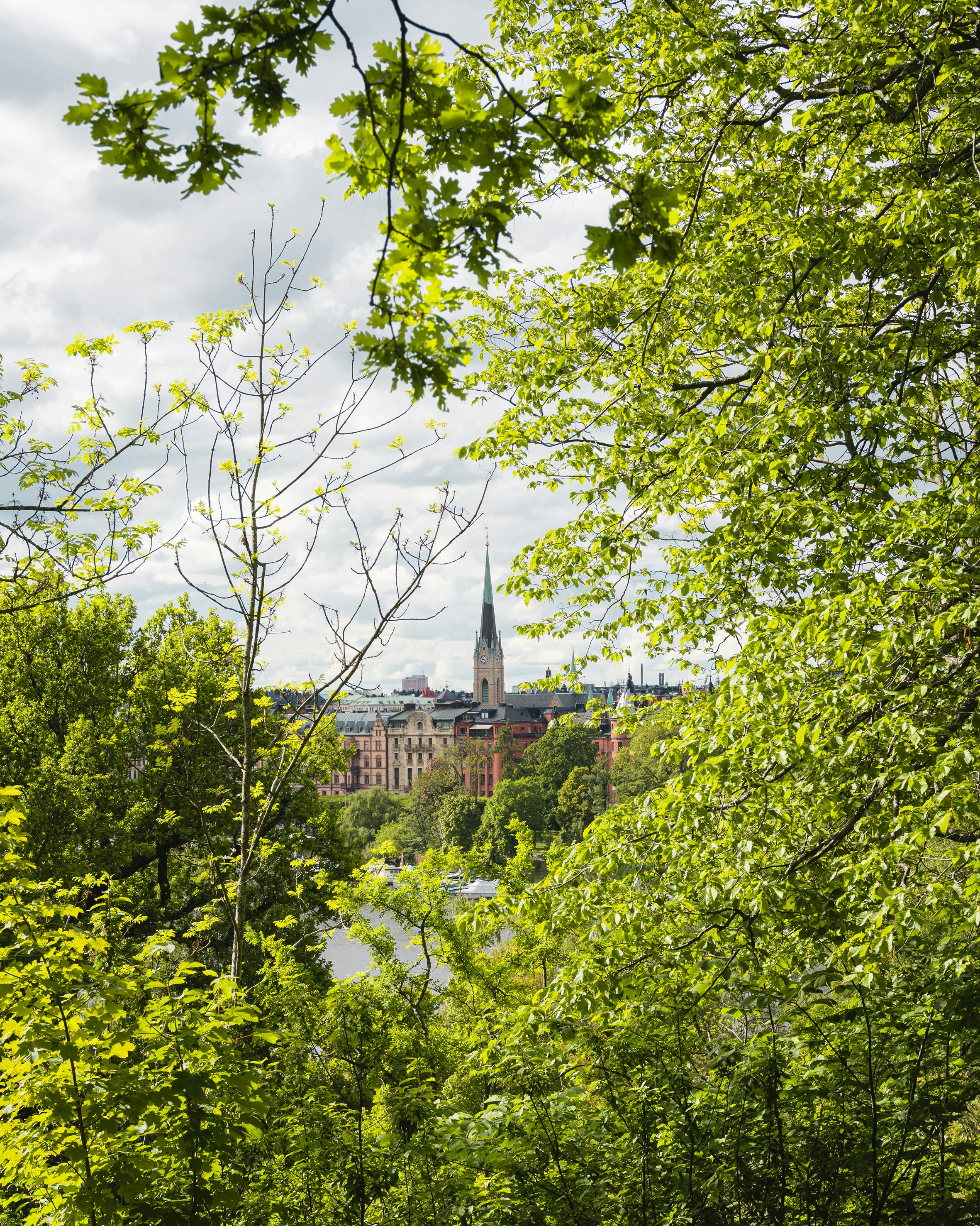 Photo by pierrejeanneret