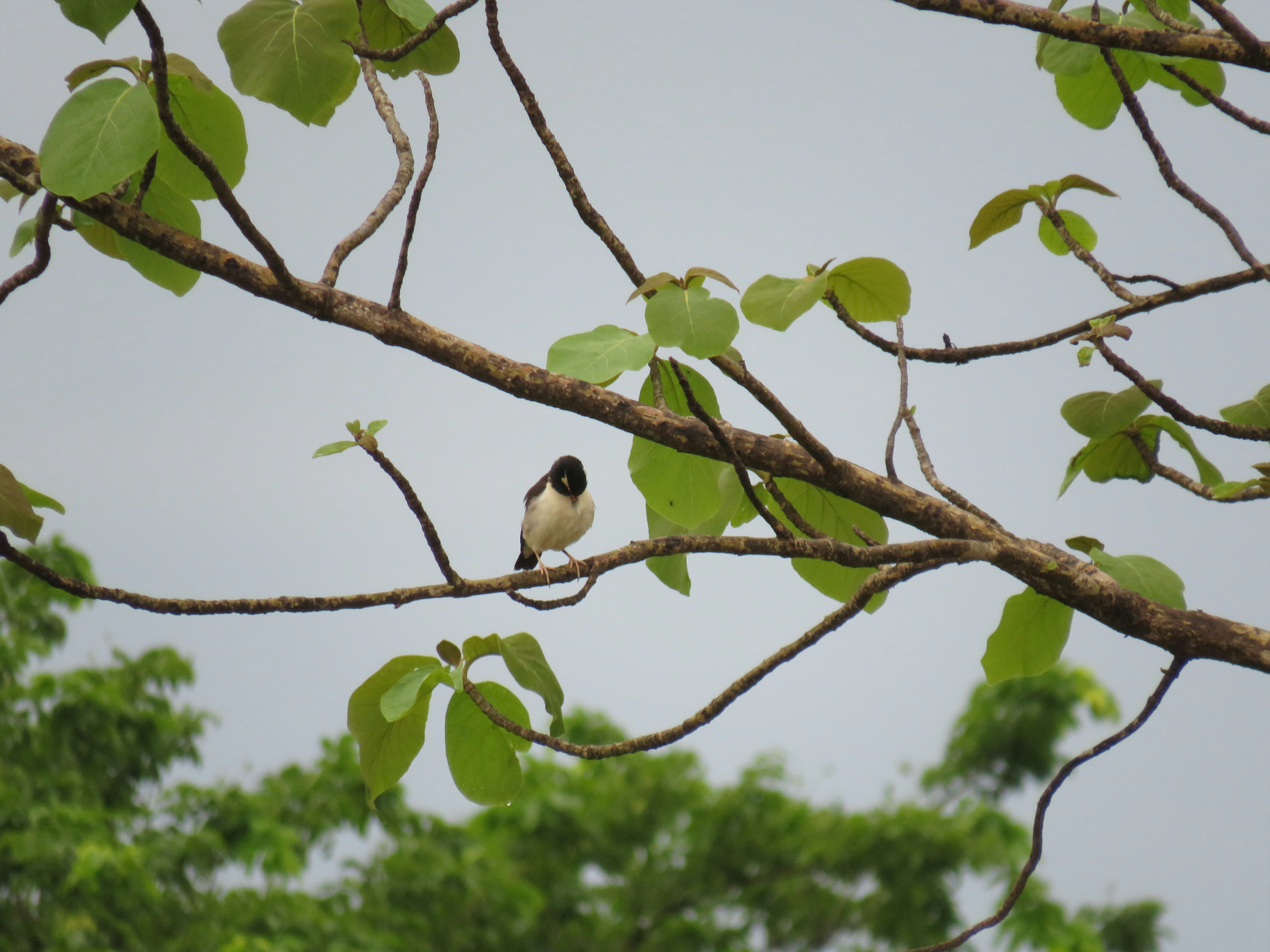 Photo by ____s_umi_t__