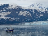 A fishing boat floats on a calm, icy body of water surrounded by snow-covered mountains. The background features rugged, towering peaks with a large glacier visible along the shoreline.