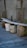 A makeshift bench is created by placing a long wooden plank over three buckets. One of the buckets is white and two are a rusty yellow color. The bench is situated next to a chain-link fence with a building in the background. The ground is covered in stone tiles with some scattered leaves.