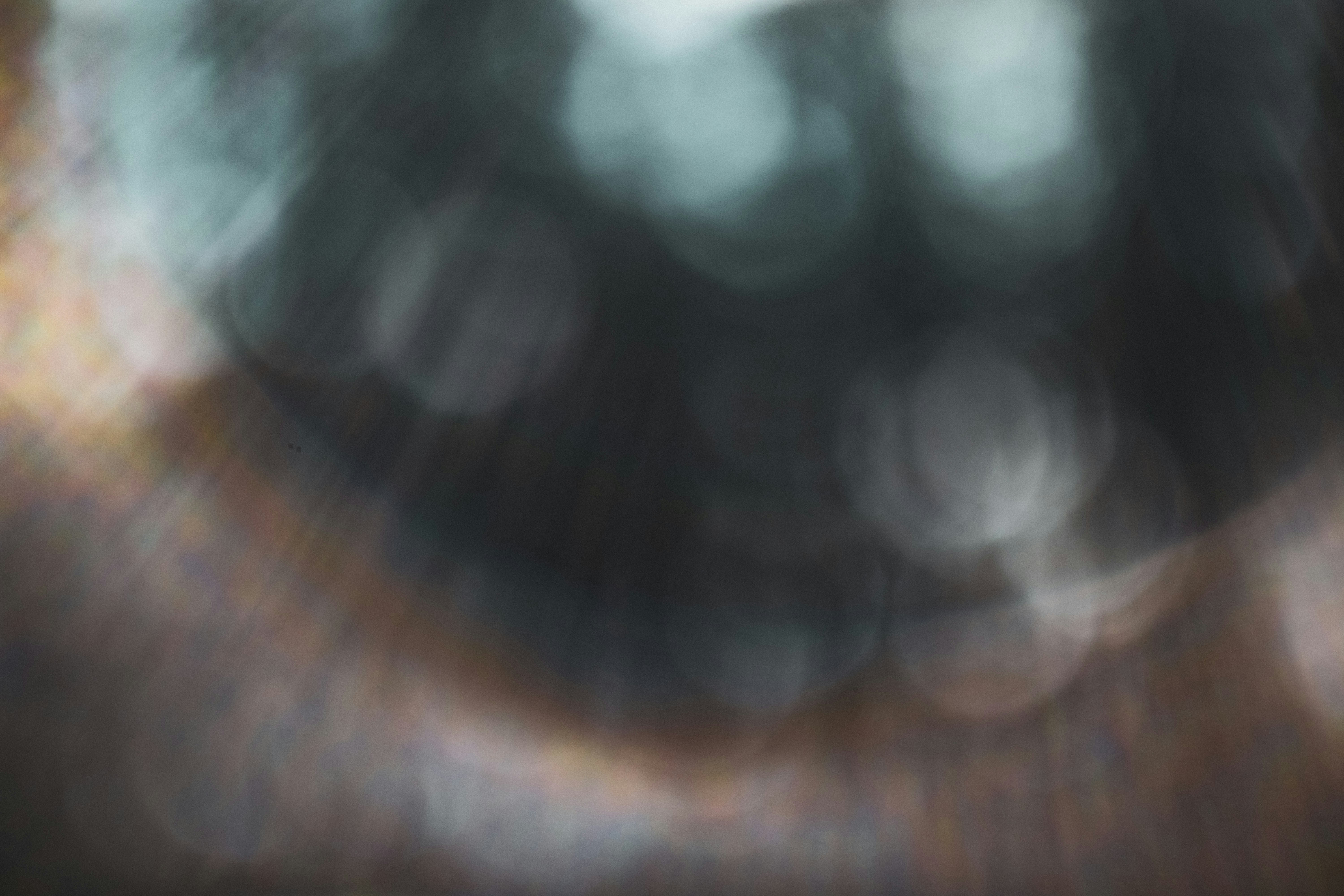 Photo by artur_luczka