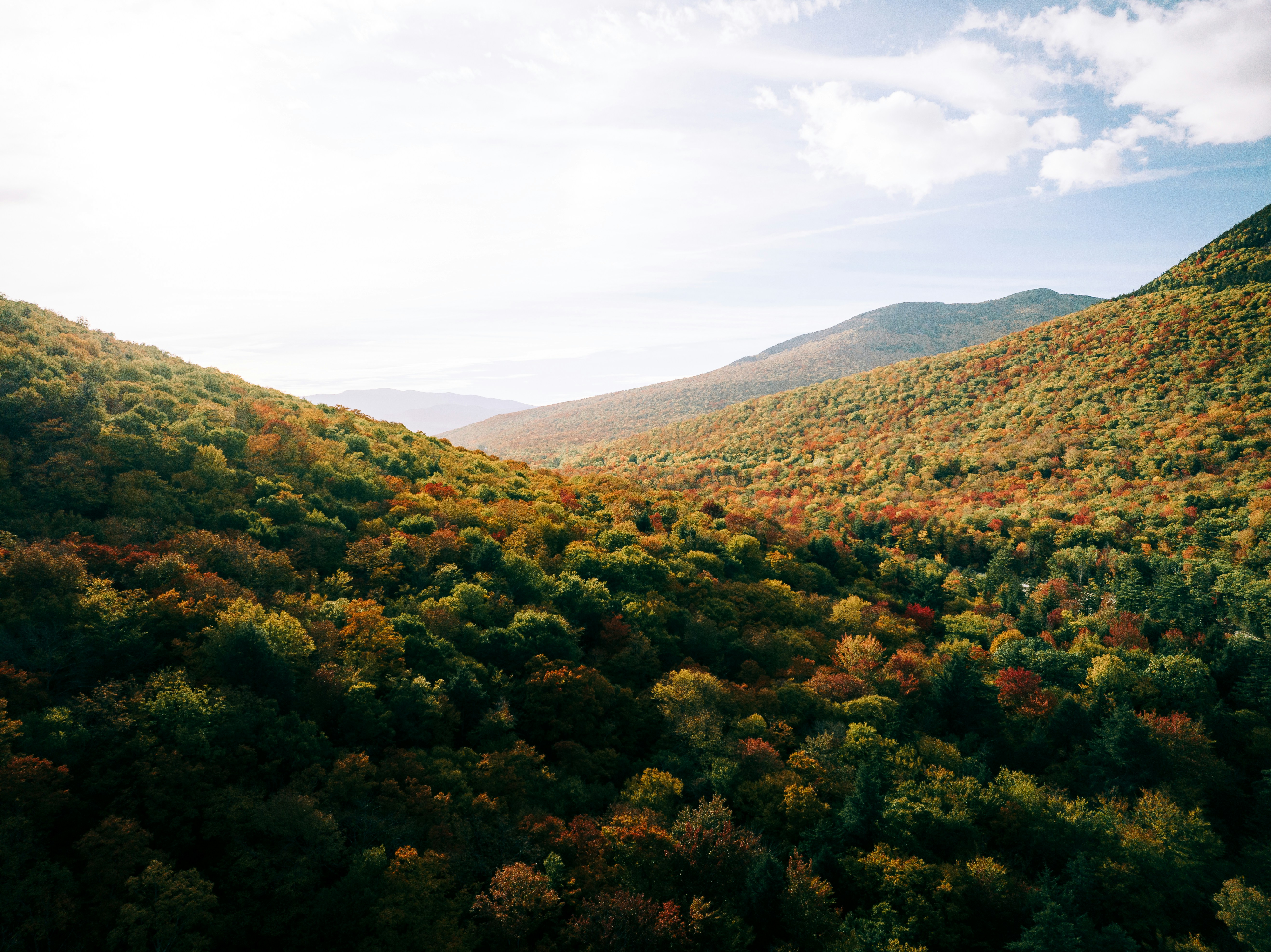 Nature produces the most astoundingly beautiful images: the swirling lava of a volcano, palm trees against a blue sky, snow-capped mountains towering above. Unsplash has magnificent , high-quality photos of all the delights that nature has to offer.