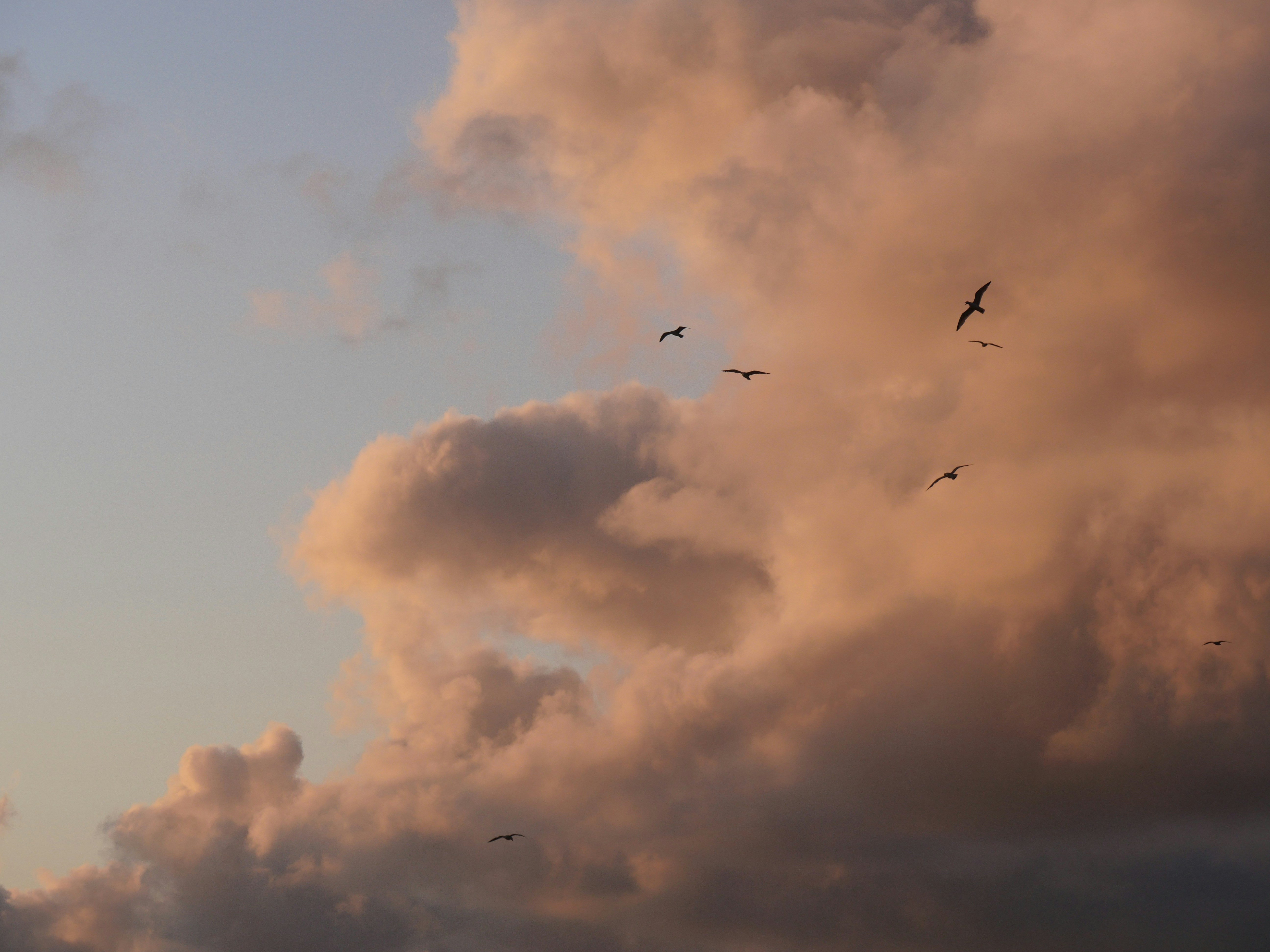 Photo by nimbus_vulpis