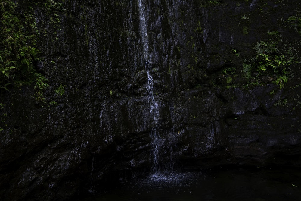 a waterfall in a forest