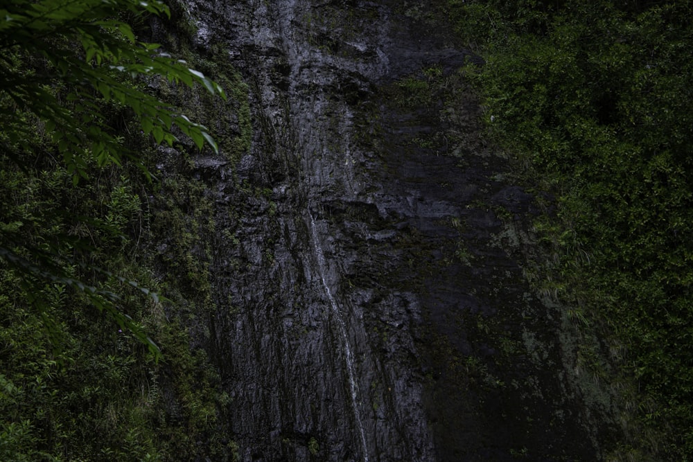 a waterfall in a forest