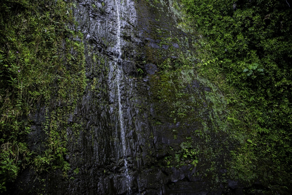 a waterfall in a forest