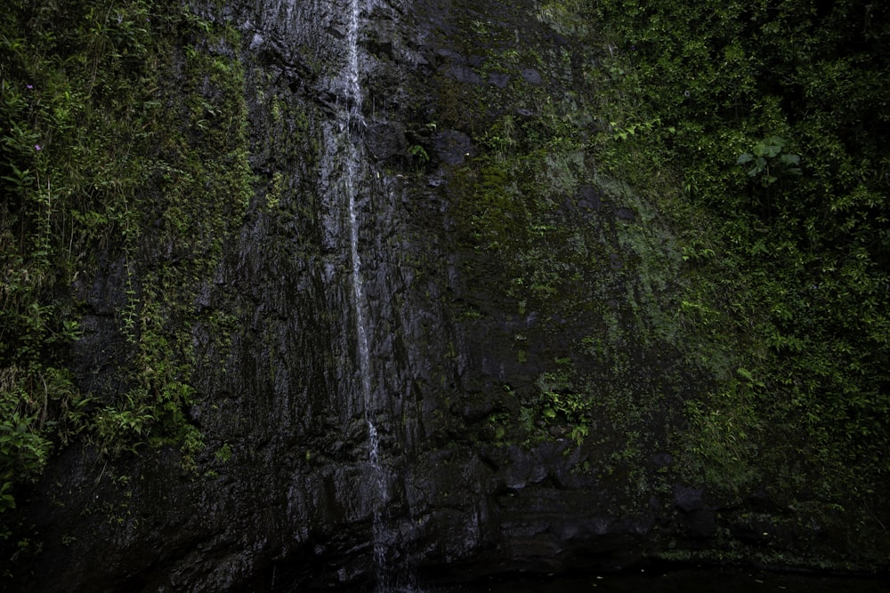 a waterfall in a forest