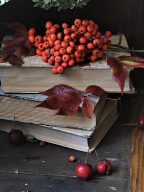 Stack of artist books with rich earthy red tones and intricate black typography on a wooden table.