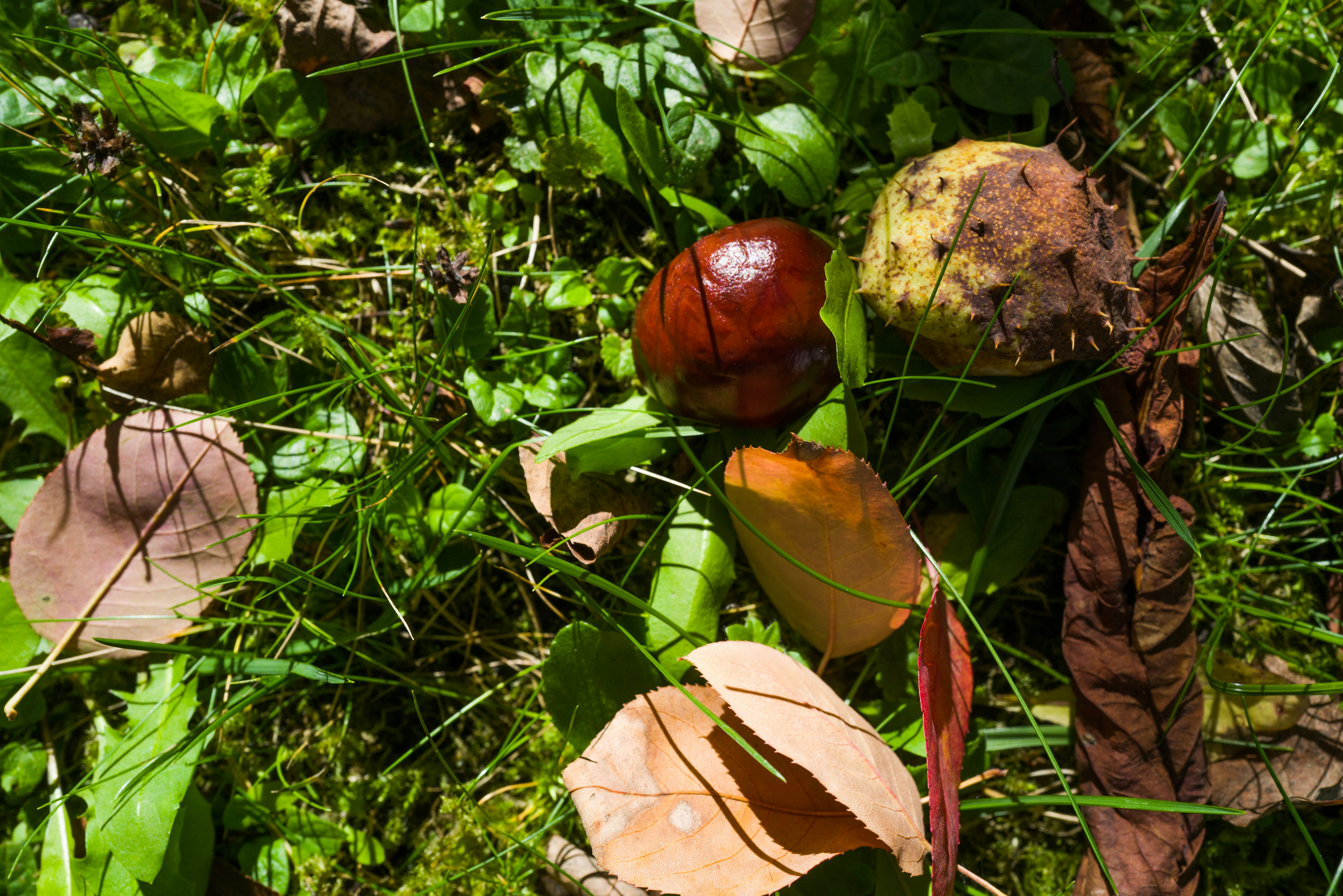 Photo by georgeiermann