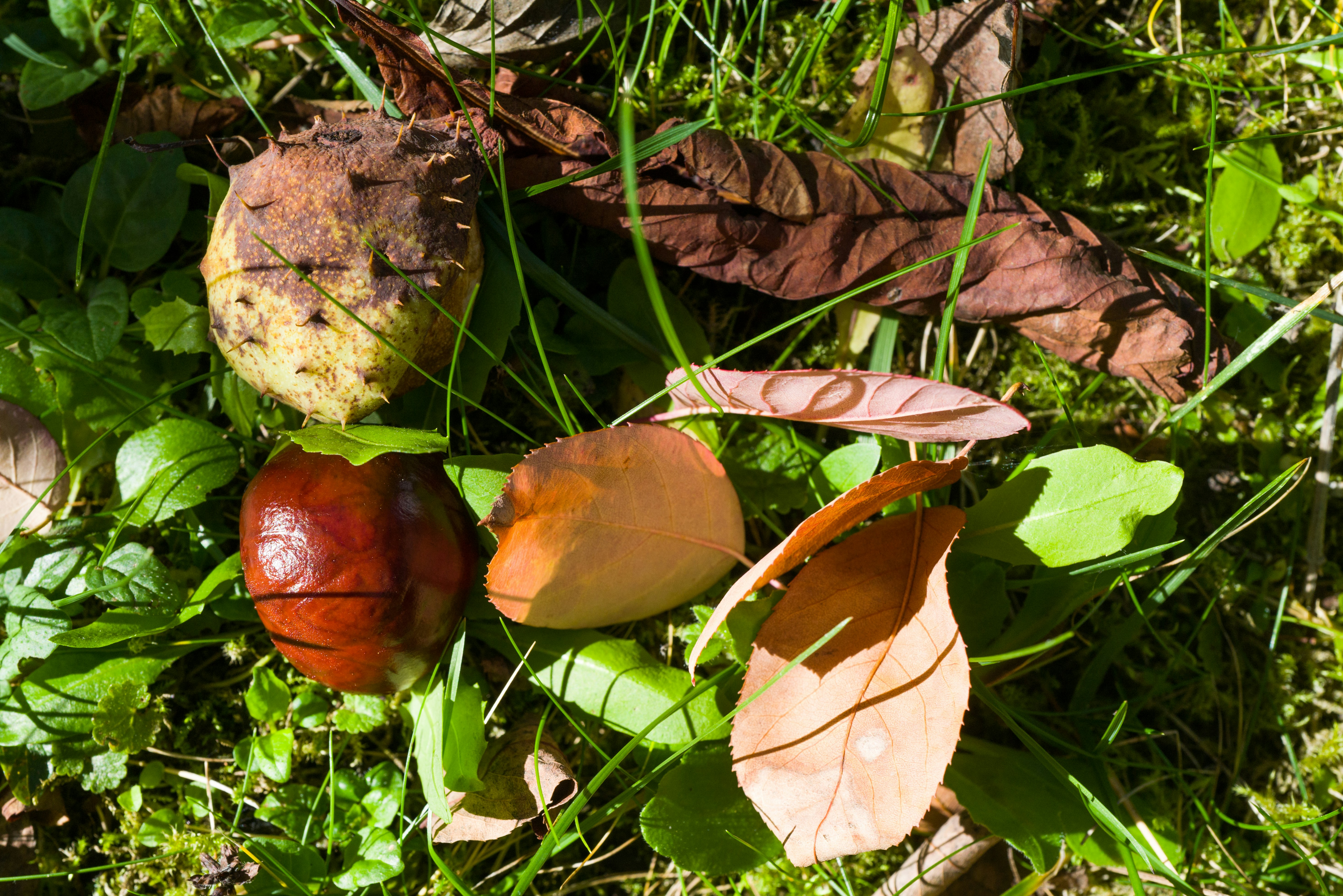 Photo by georgeiermann