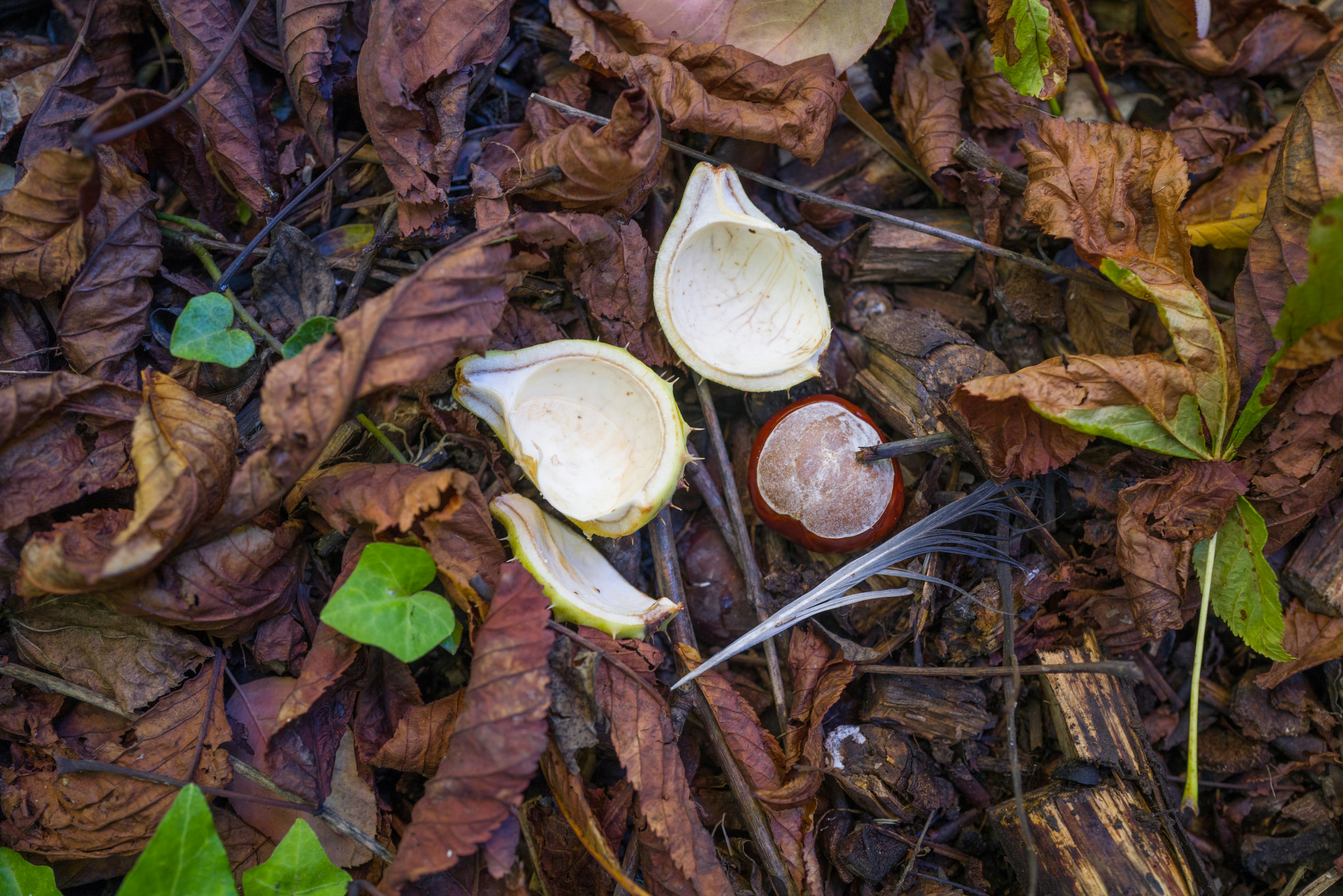 Photo by georgeiermann