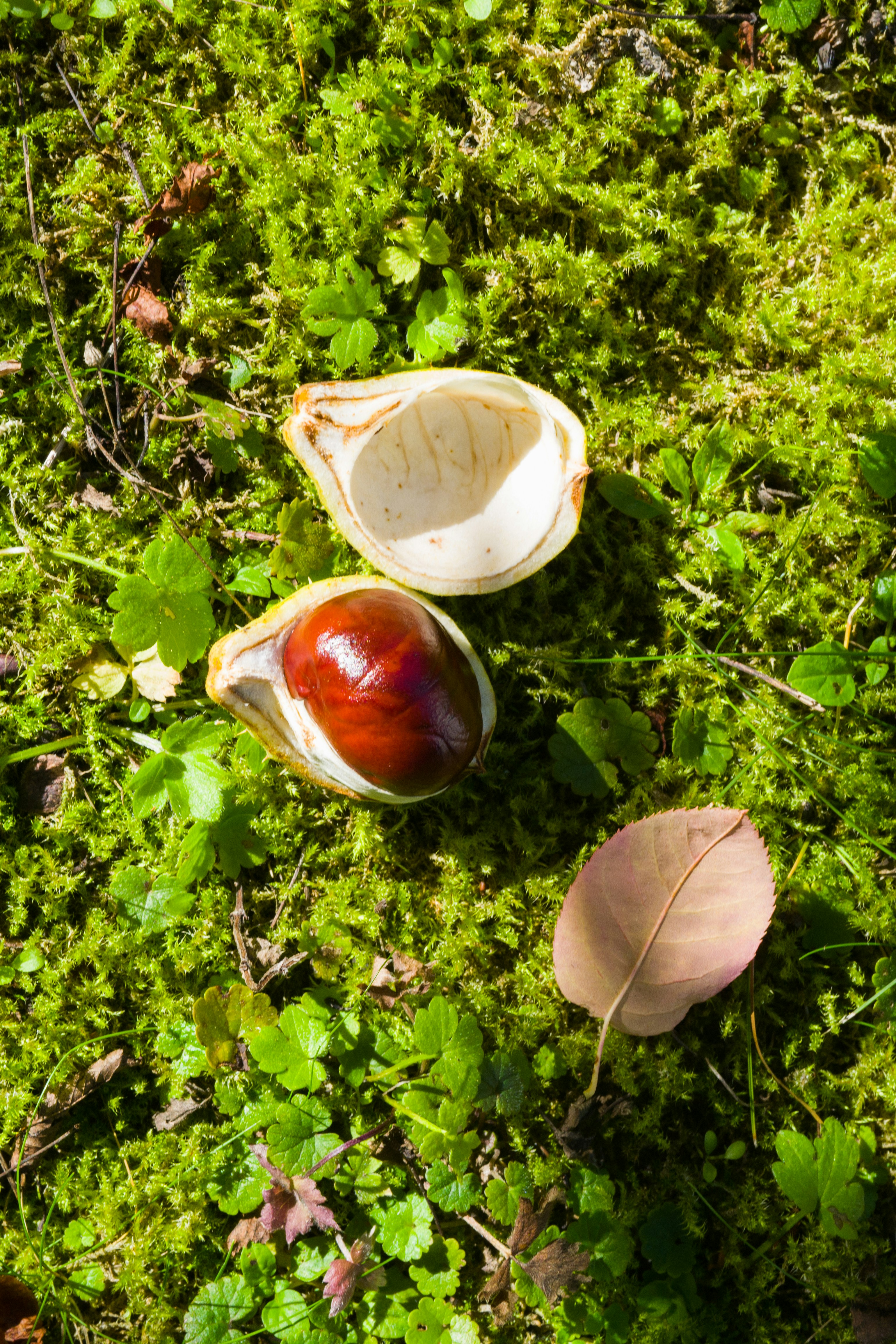 Photo by georgeiermann