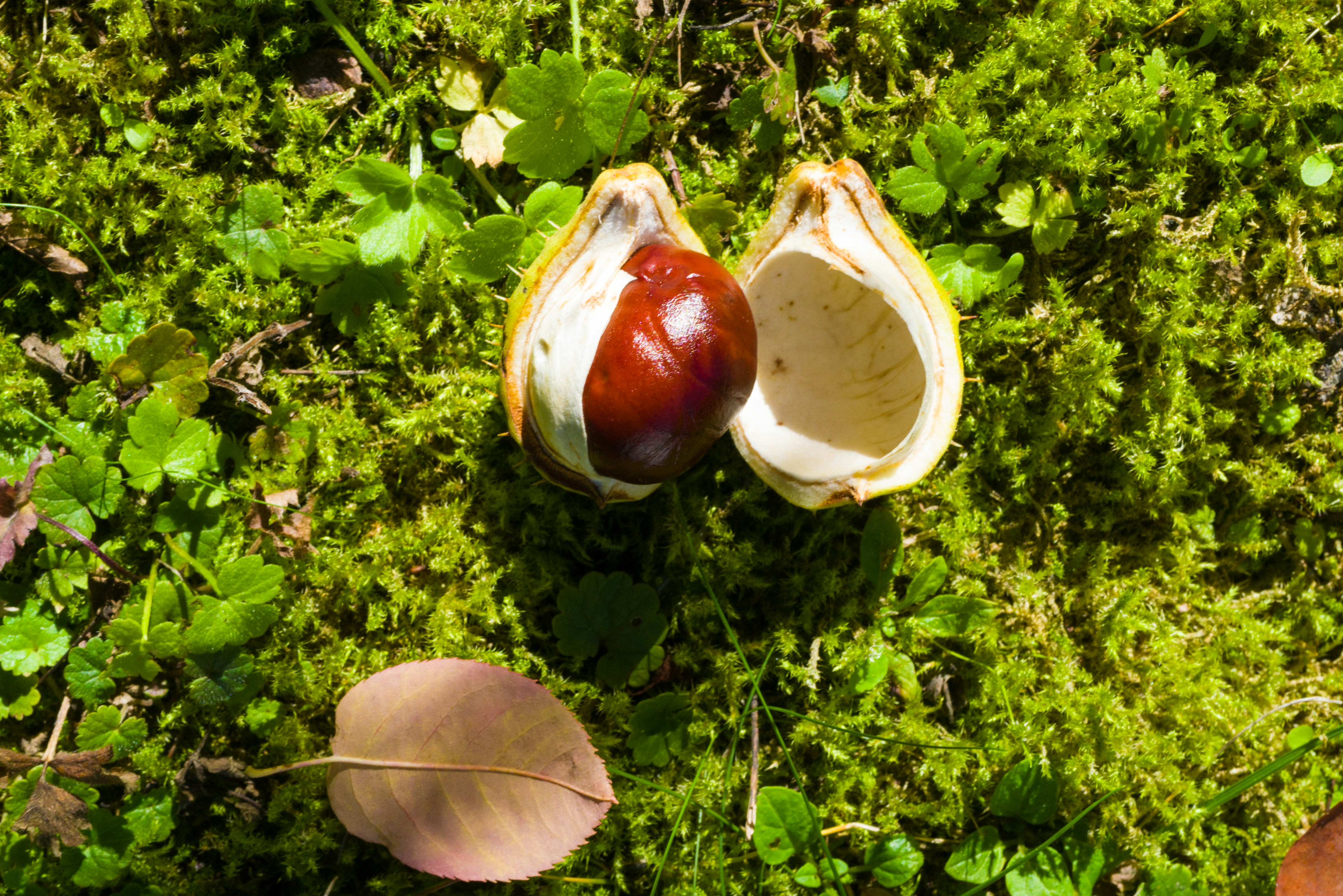 Photo by georgeiermann