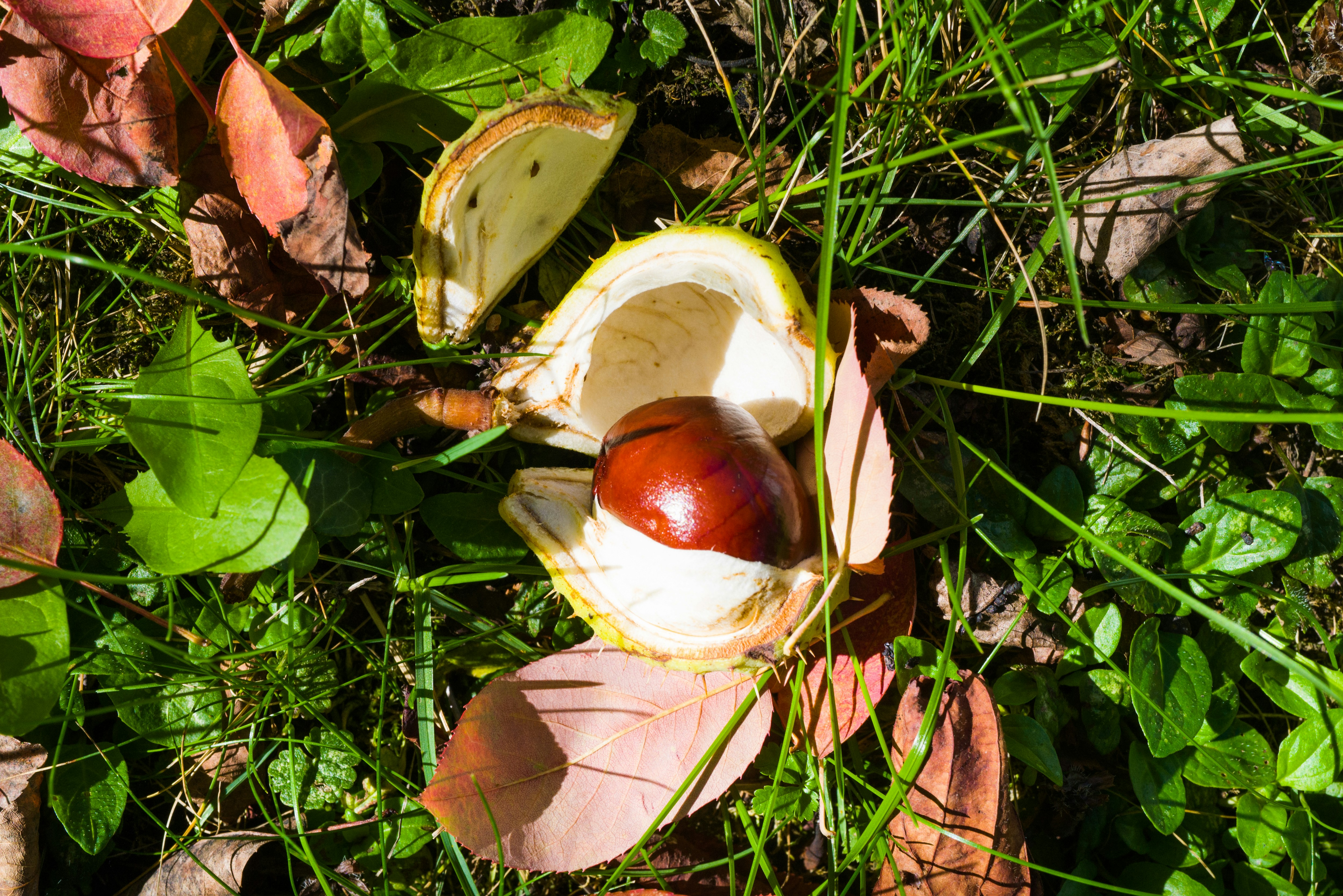 Photo by georgeiermann