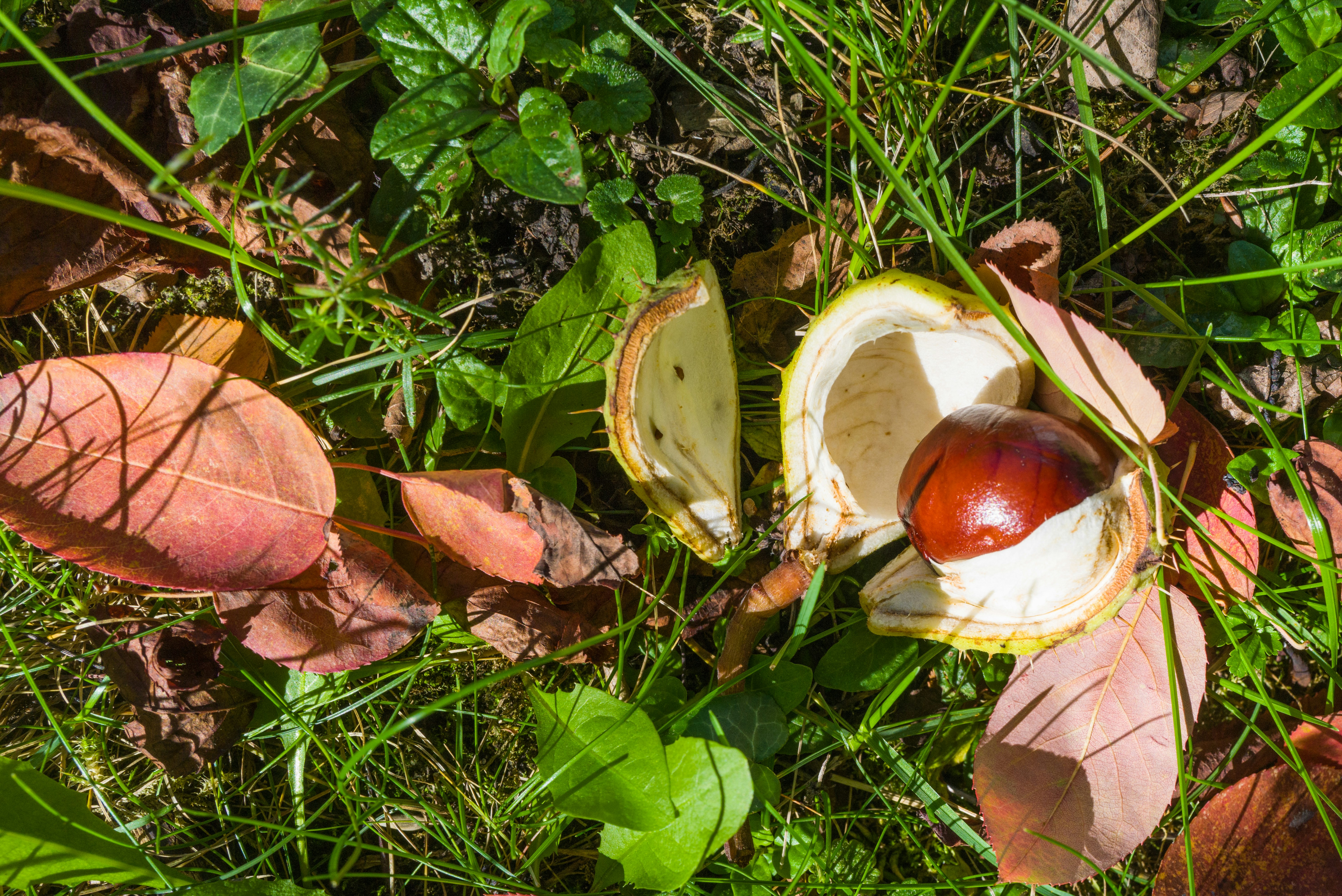 Photo by georgeiermann