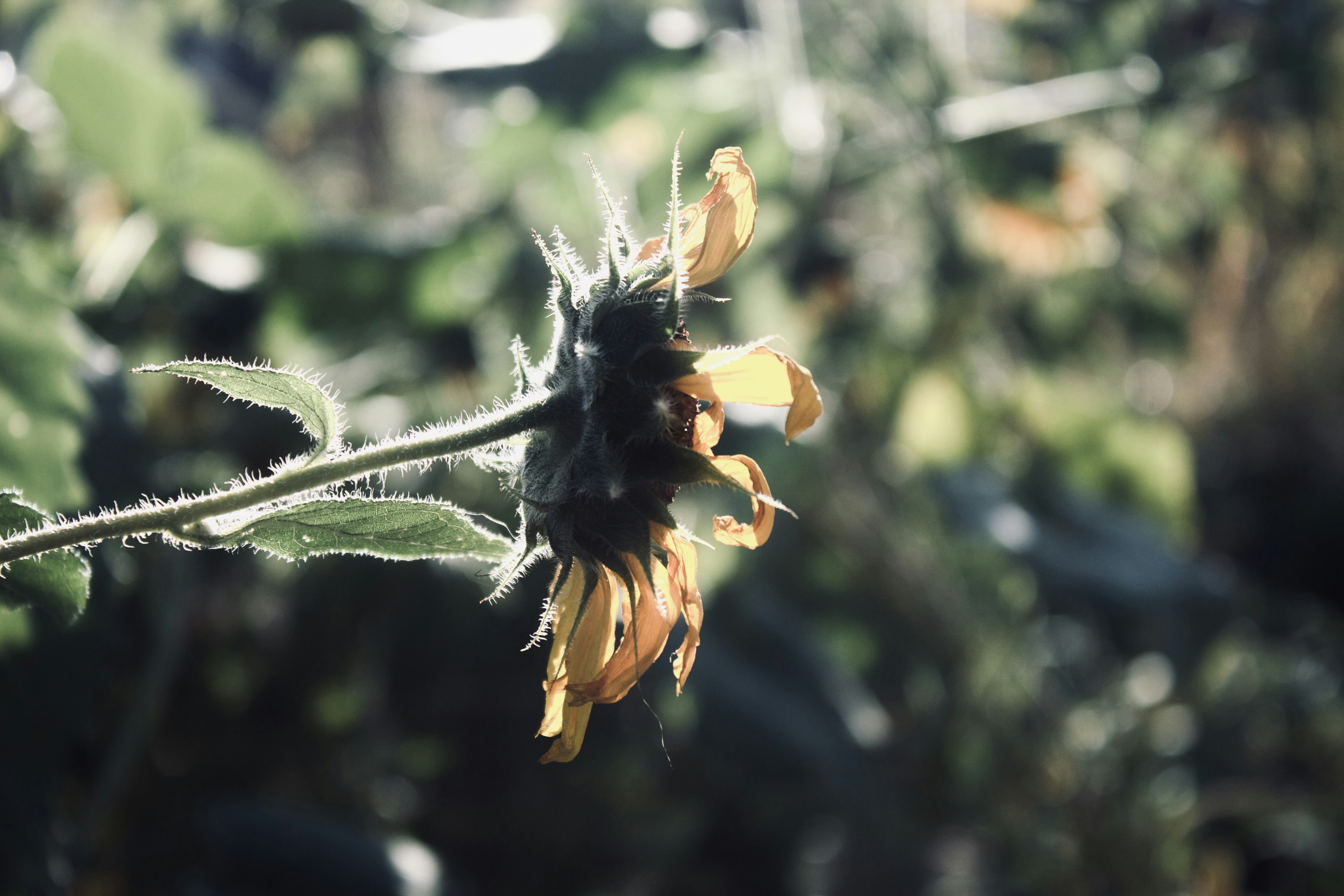 Photo by aspen_dianne