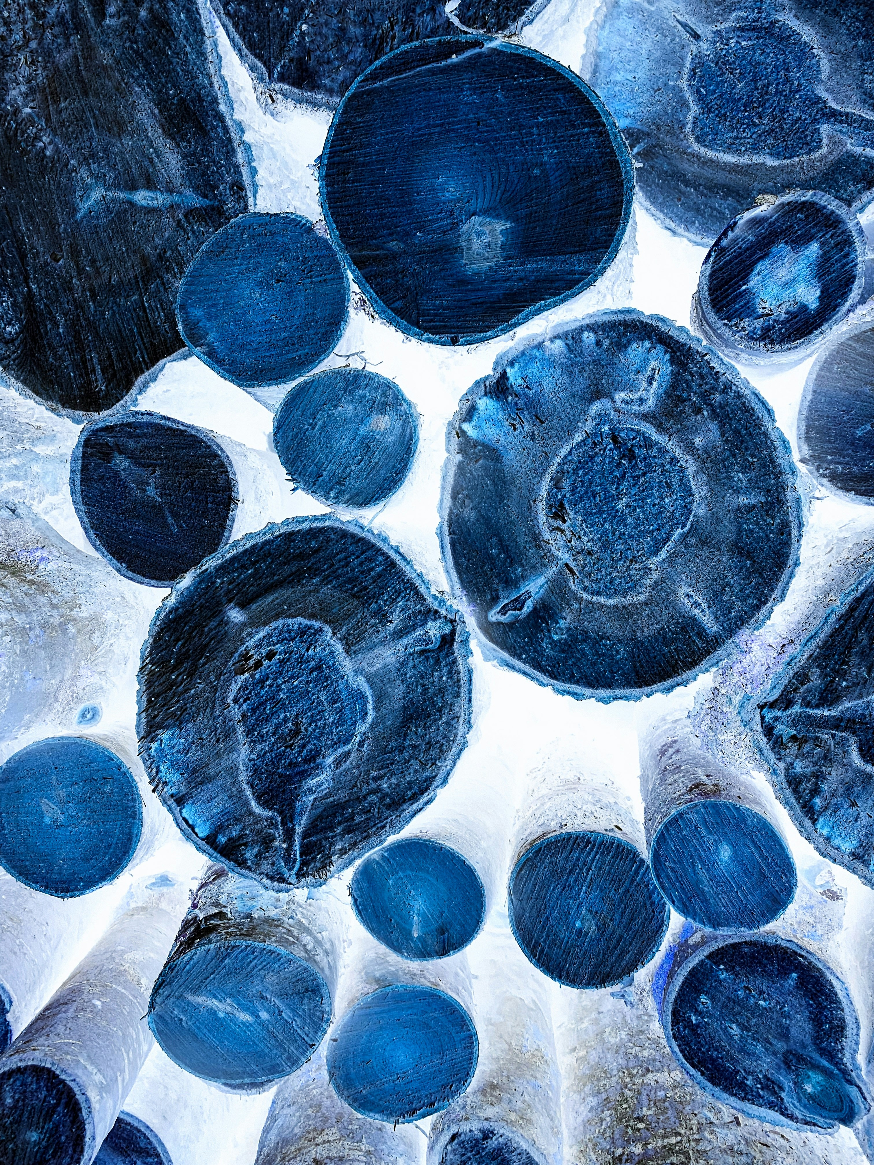 Photo by eugene_golovesov