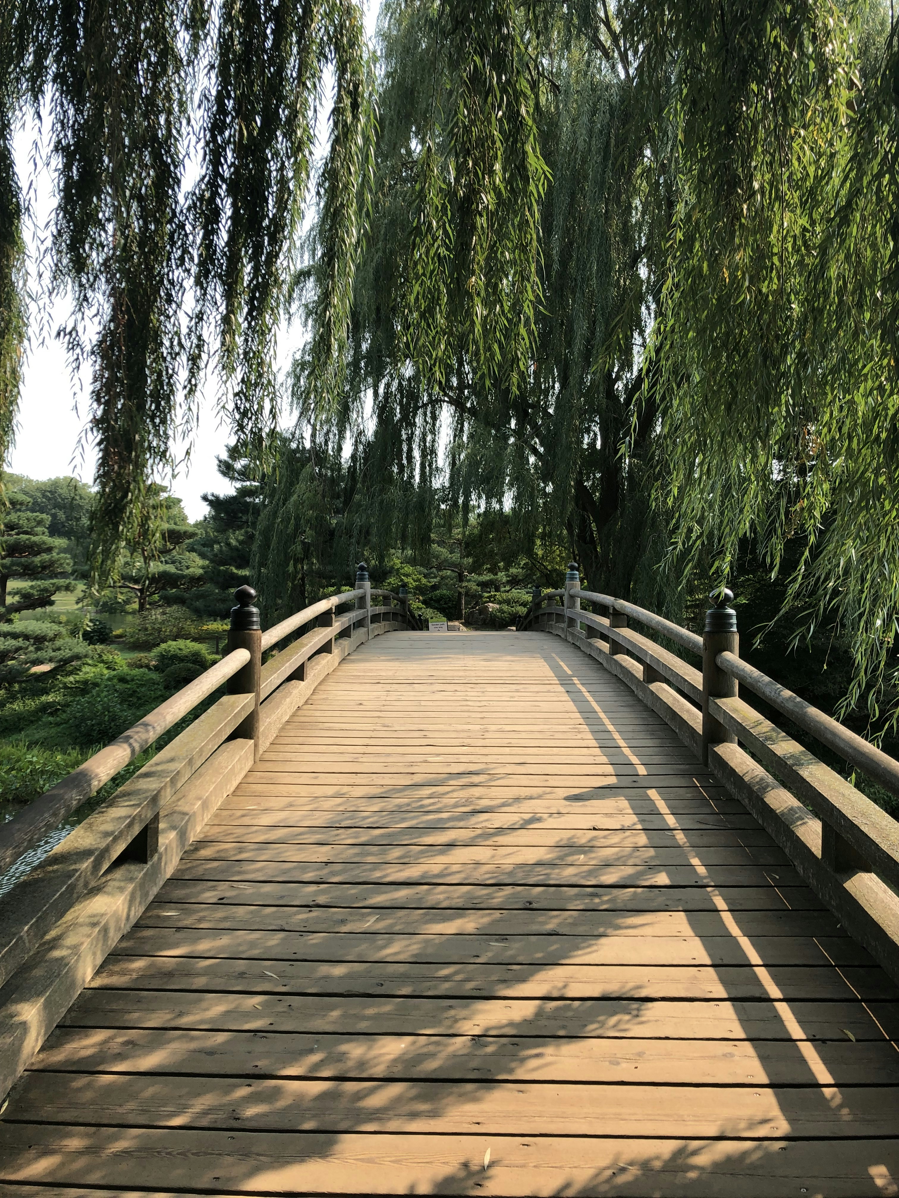 Photo by apaturairis