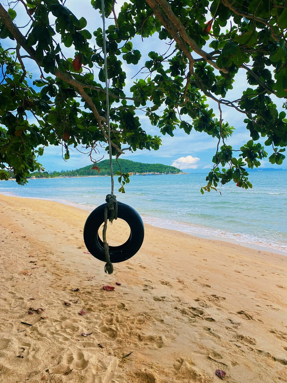 a swing on a beach