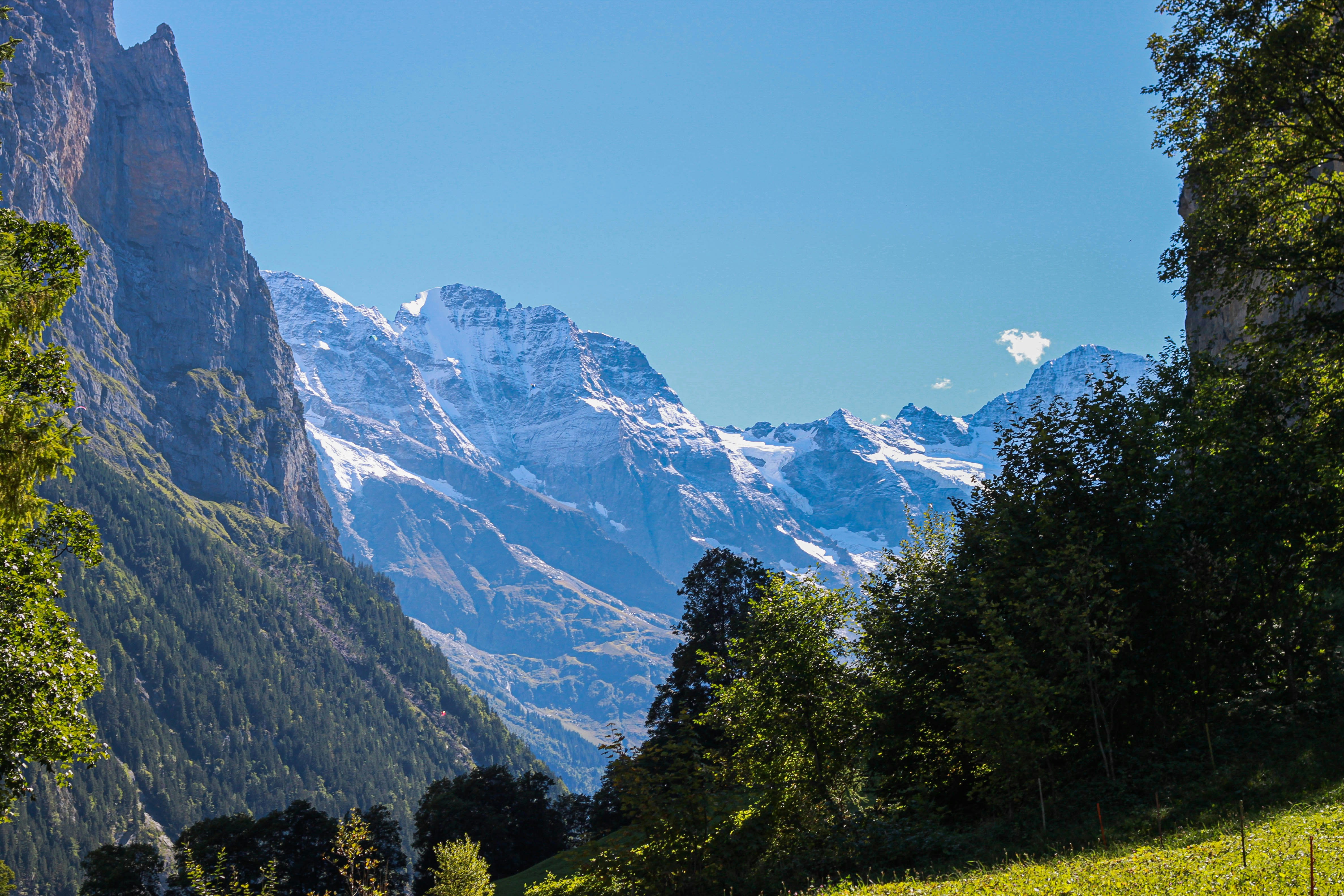 a mountain range with trees
