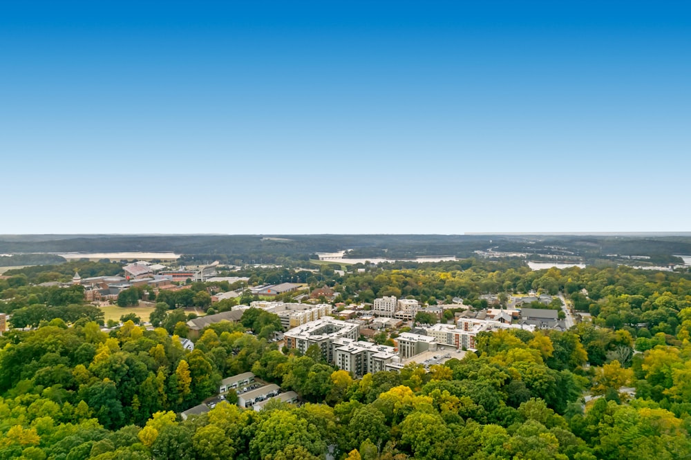 a city surrounded by trees