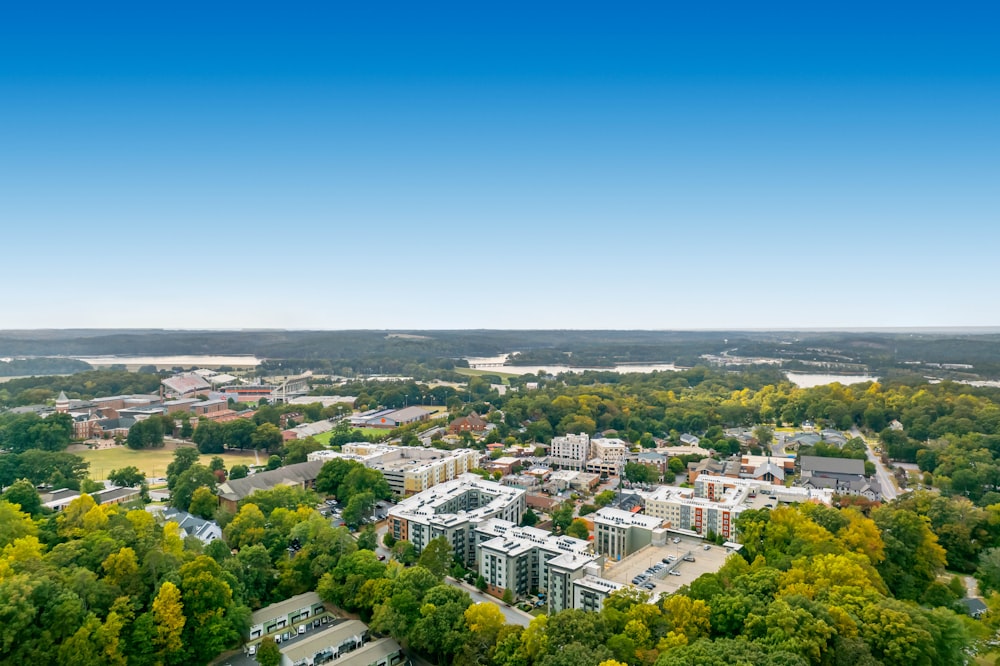 a city with many trees