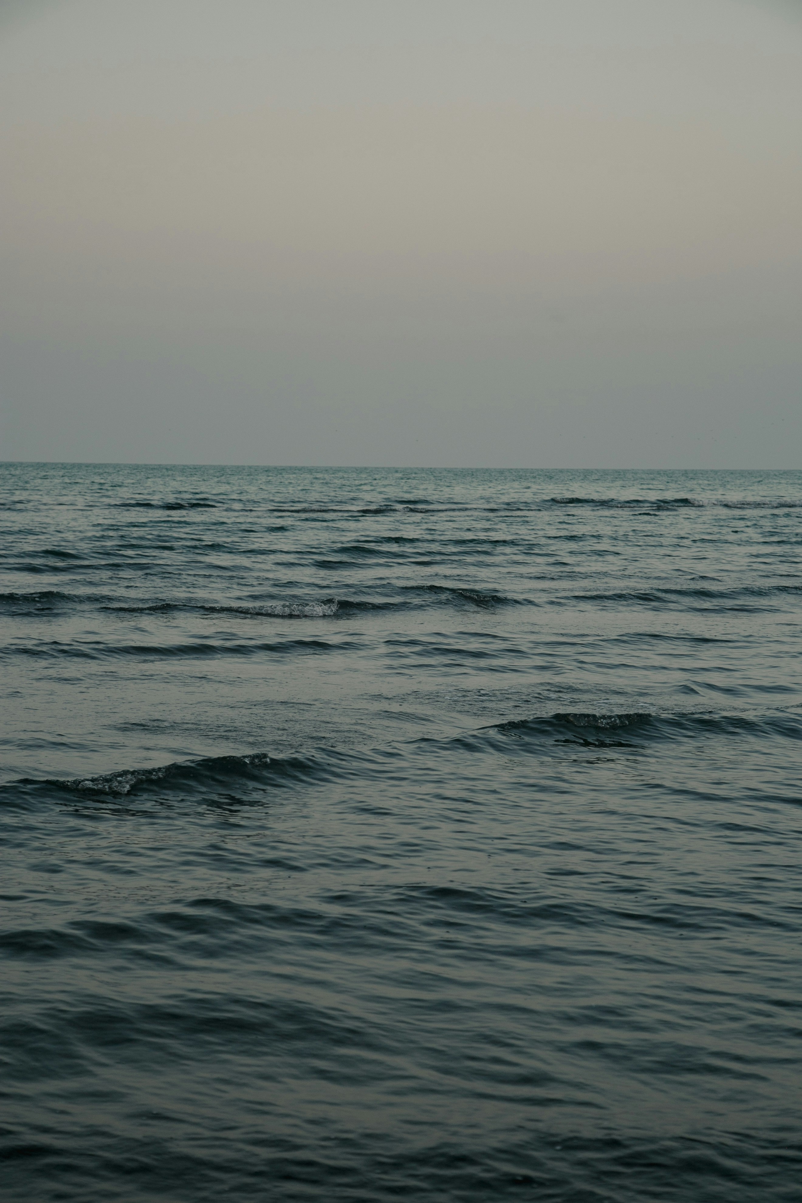 Photo by edroit