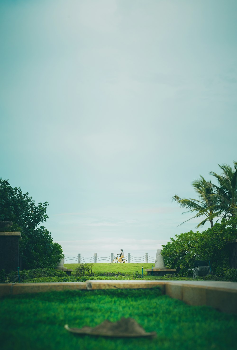 a park with a fence and trees