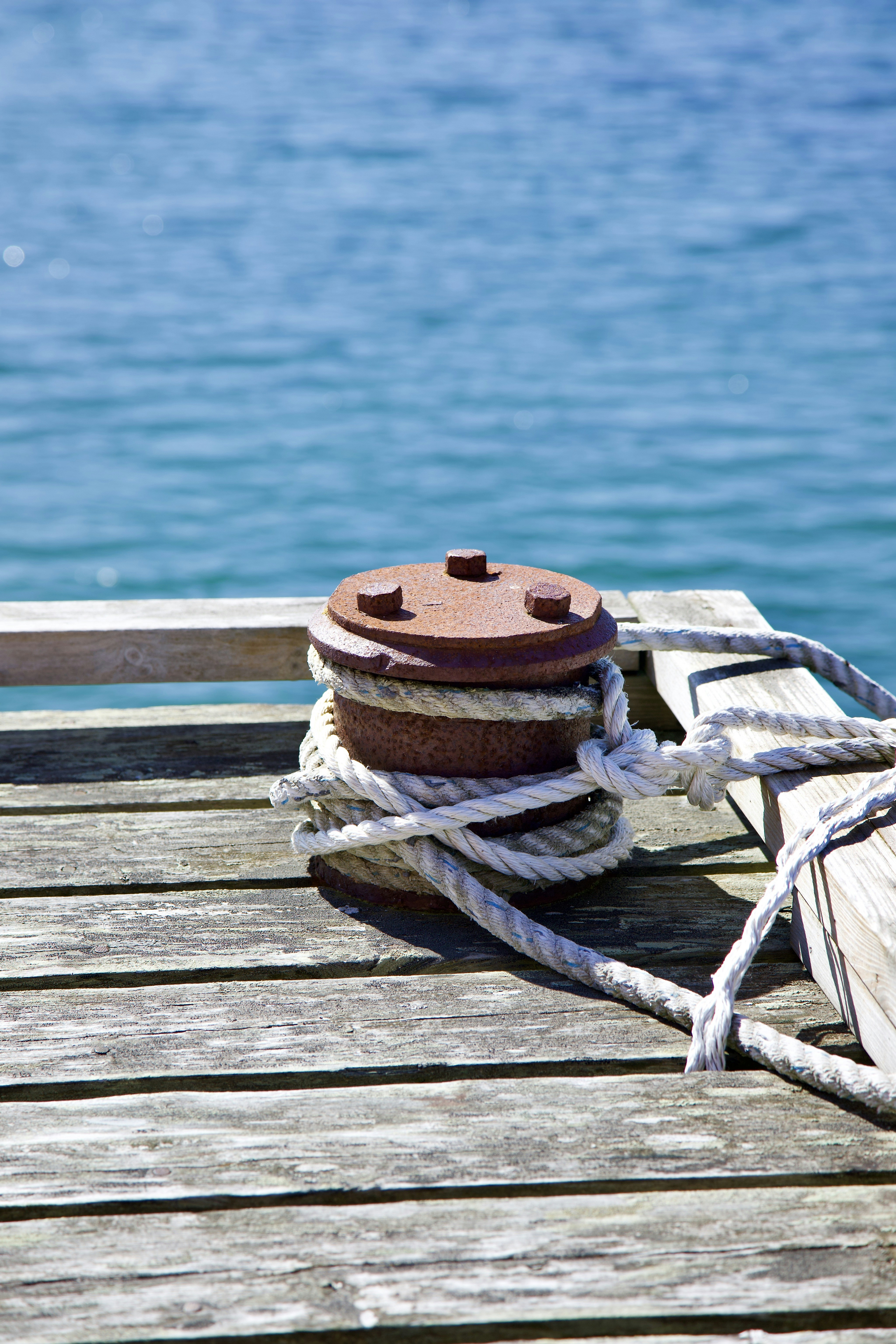 Photo by stockbirken