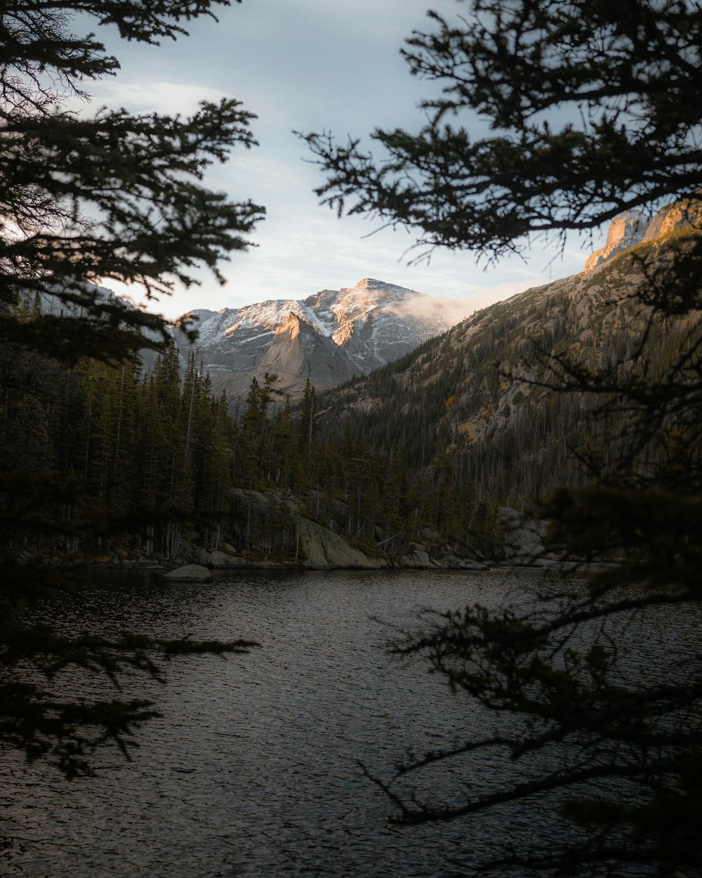 a river with trees and mountains in the background