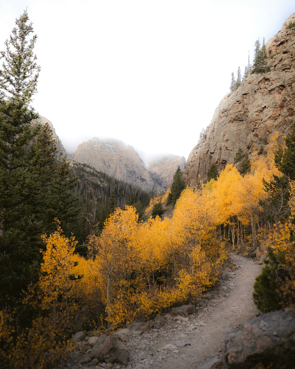 a road in the mountains