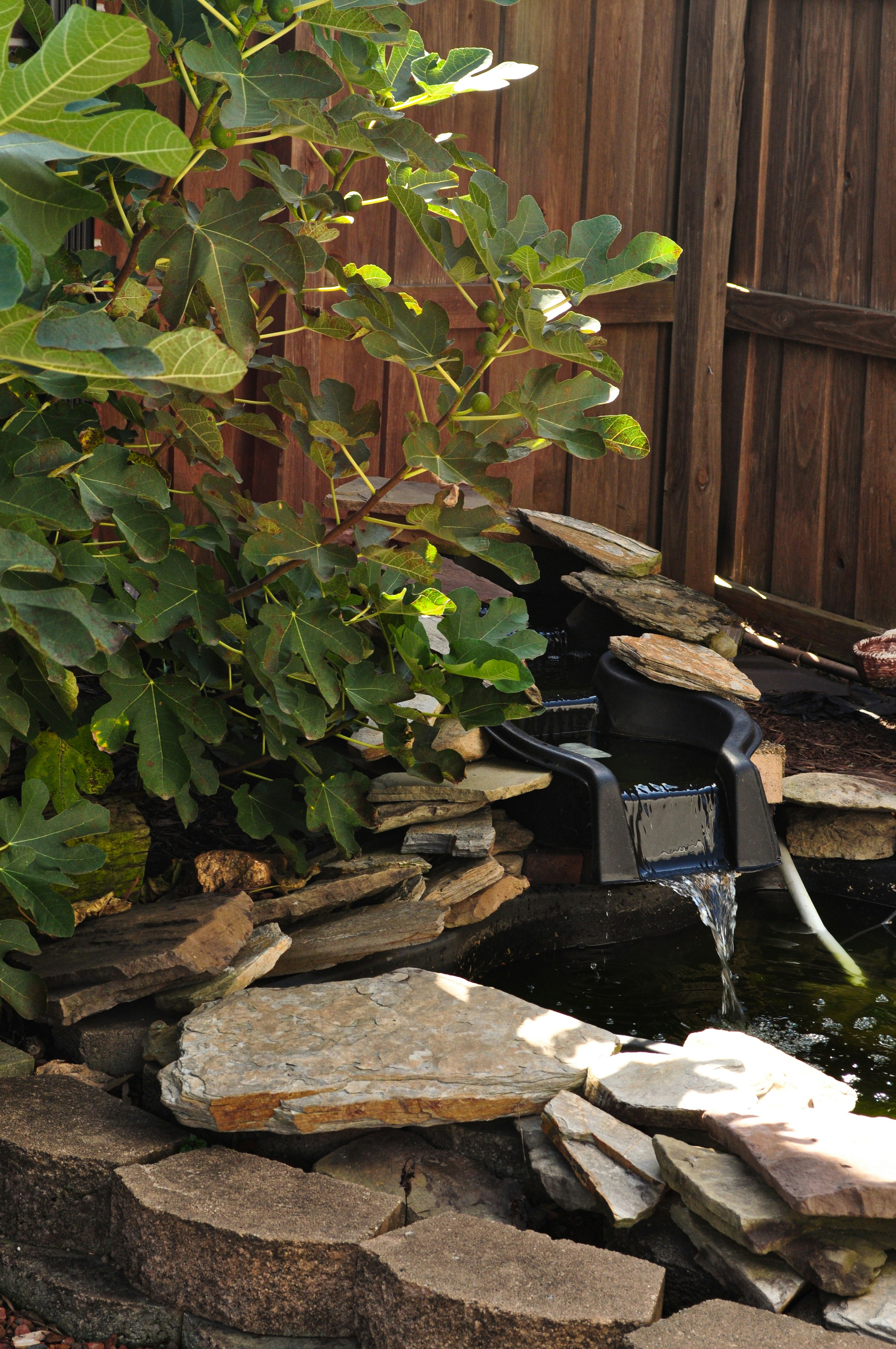 Mini Pond with Fountain