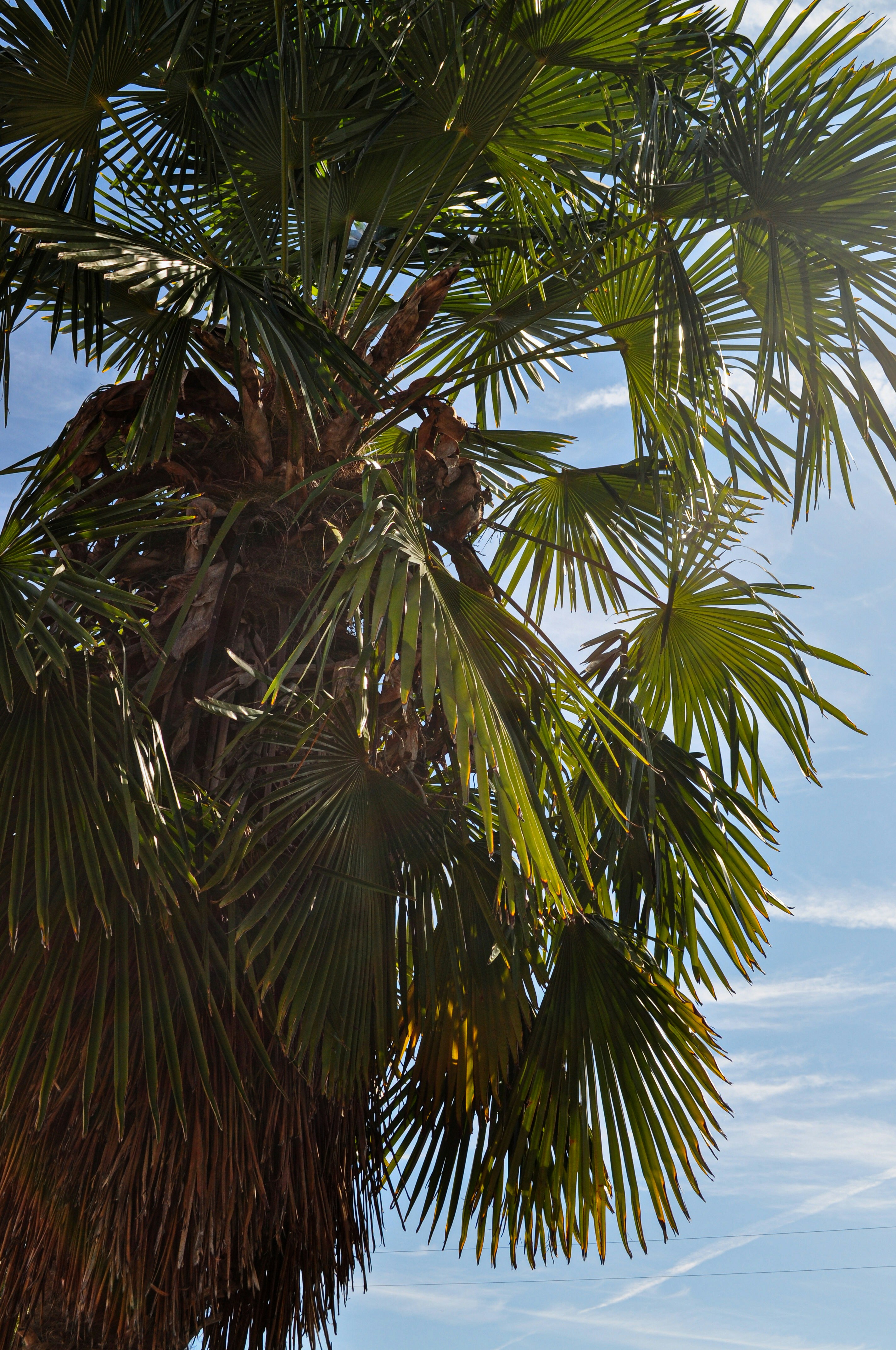 Photo by izabelahimes