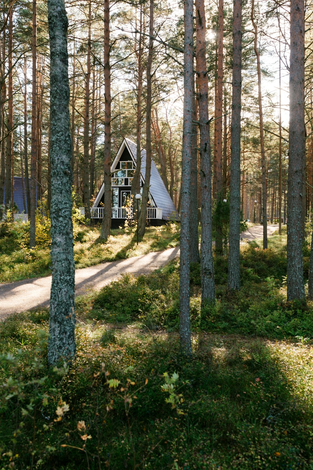 a small house in the woods