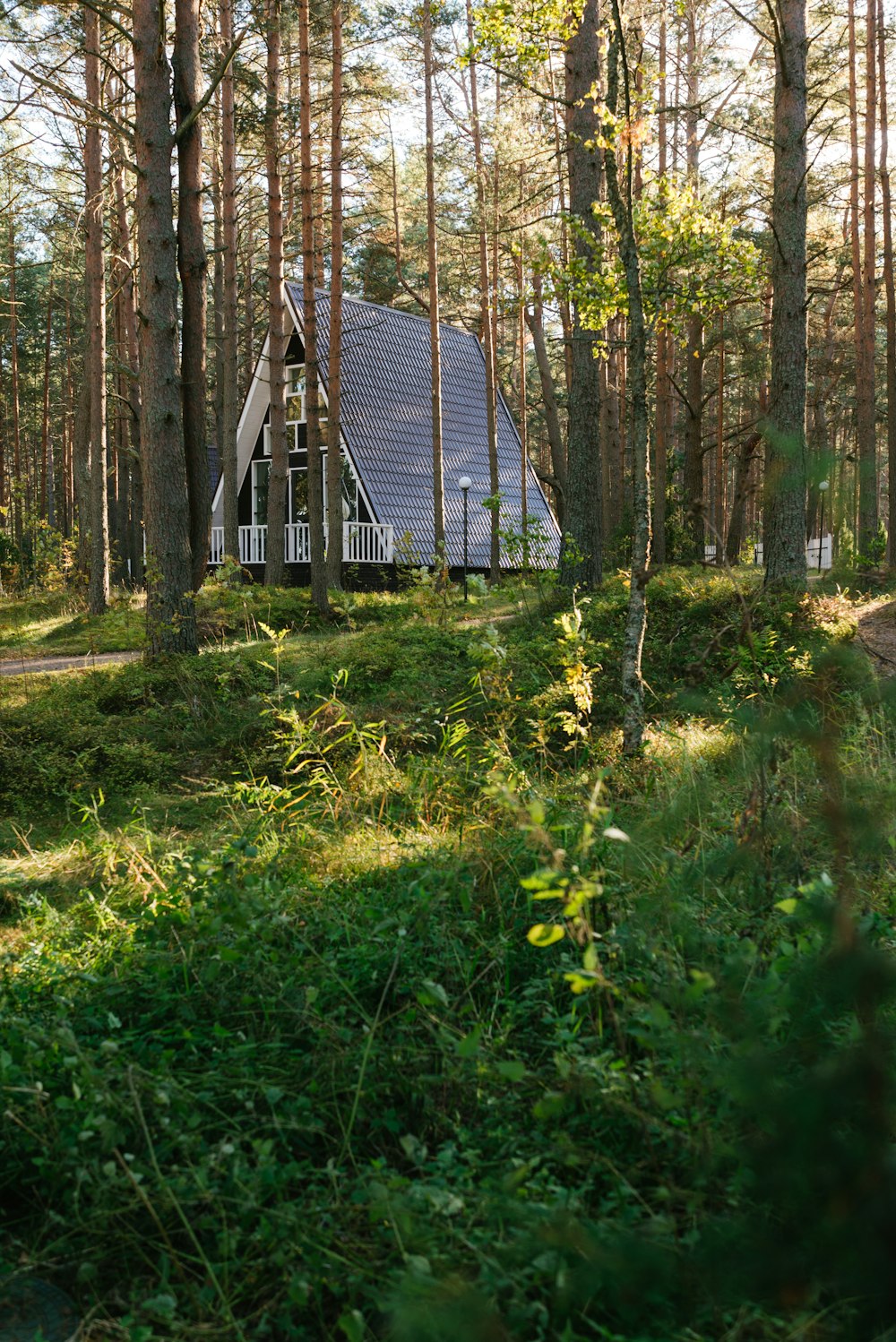 a building in the woods