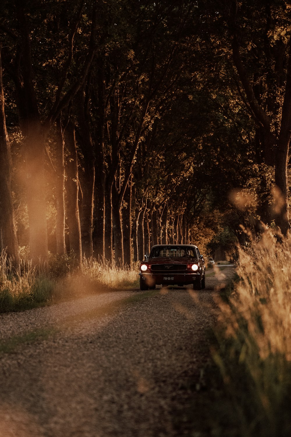 a car on a road with trees on either side of it