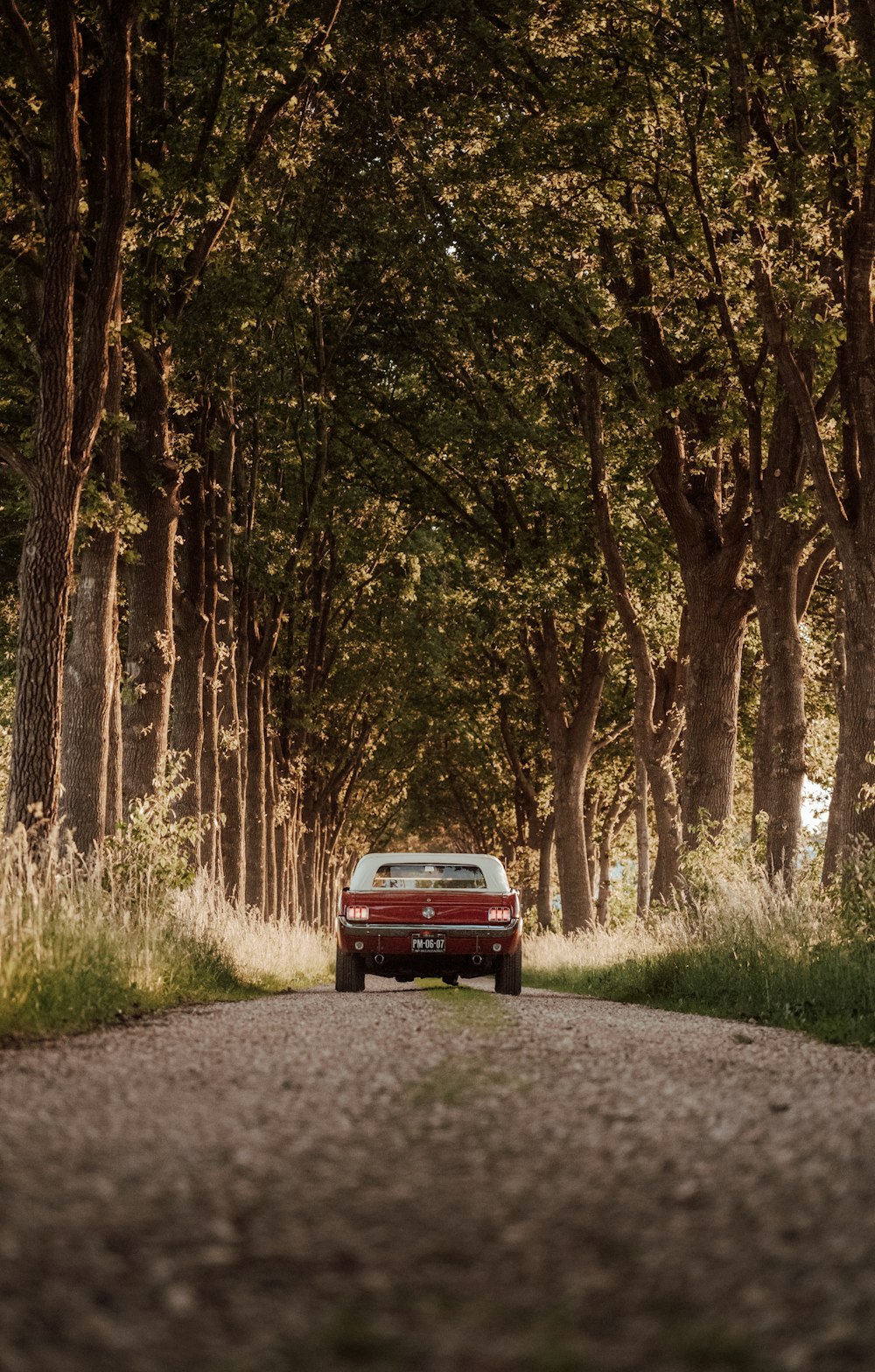 a red car on a road surrounded by trees