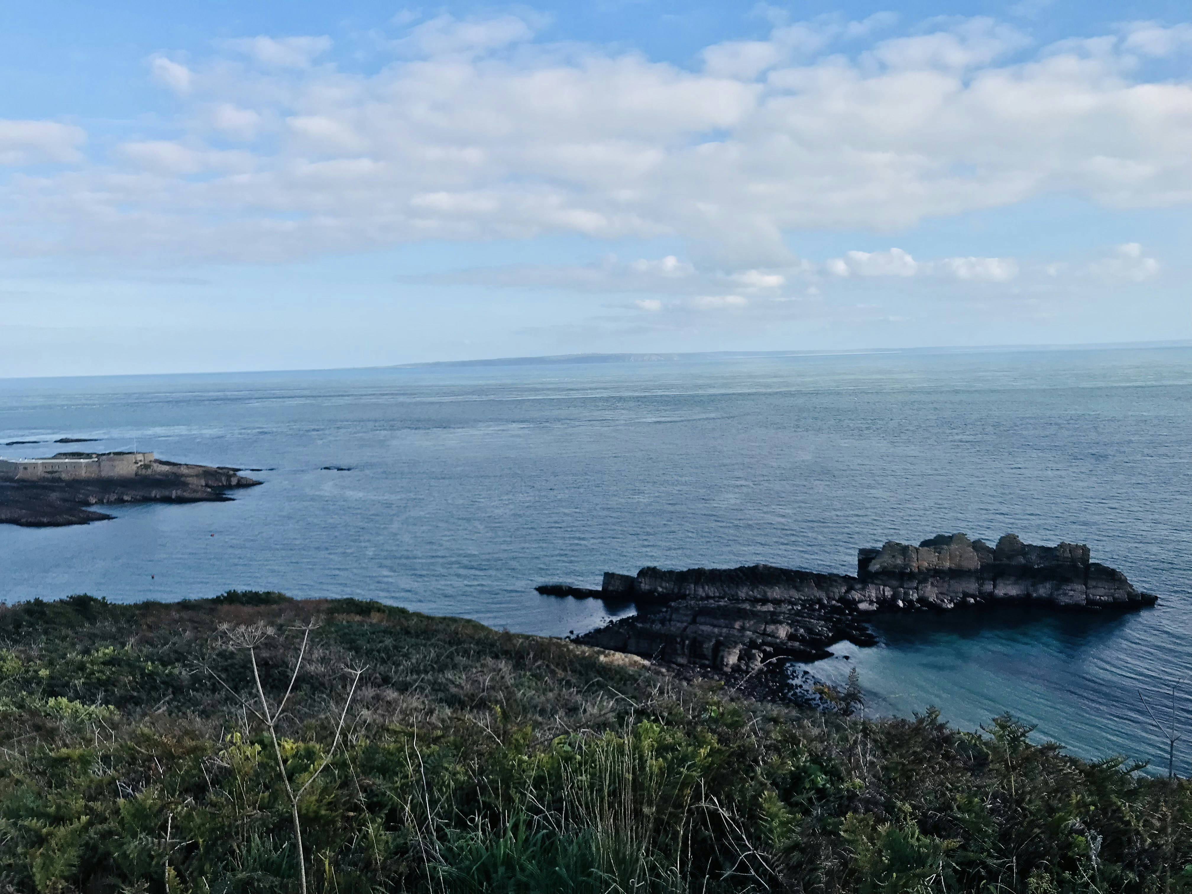 Photo by monowrmunna