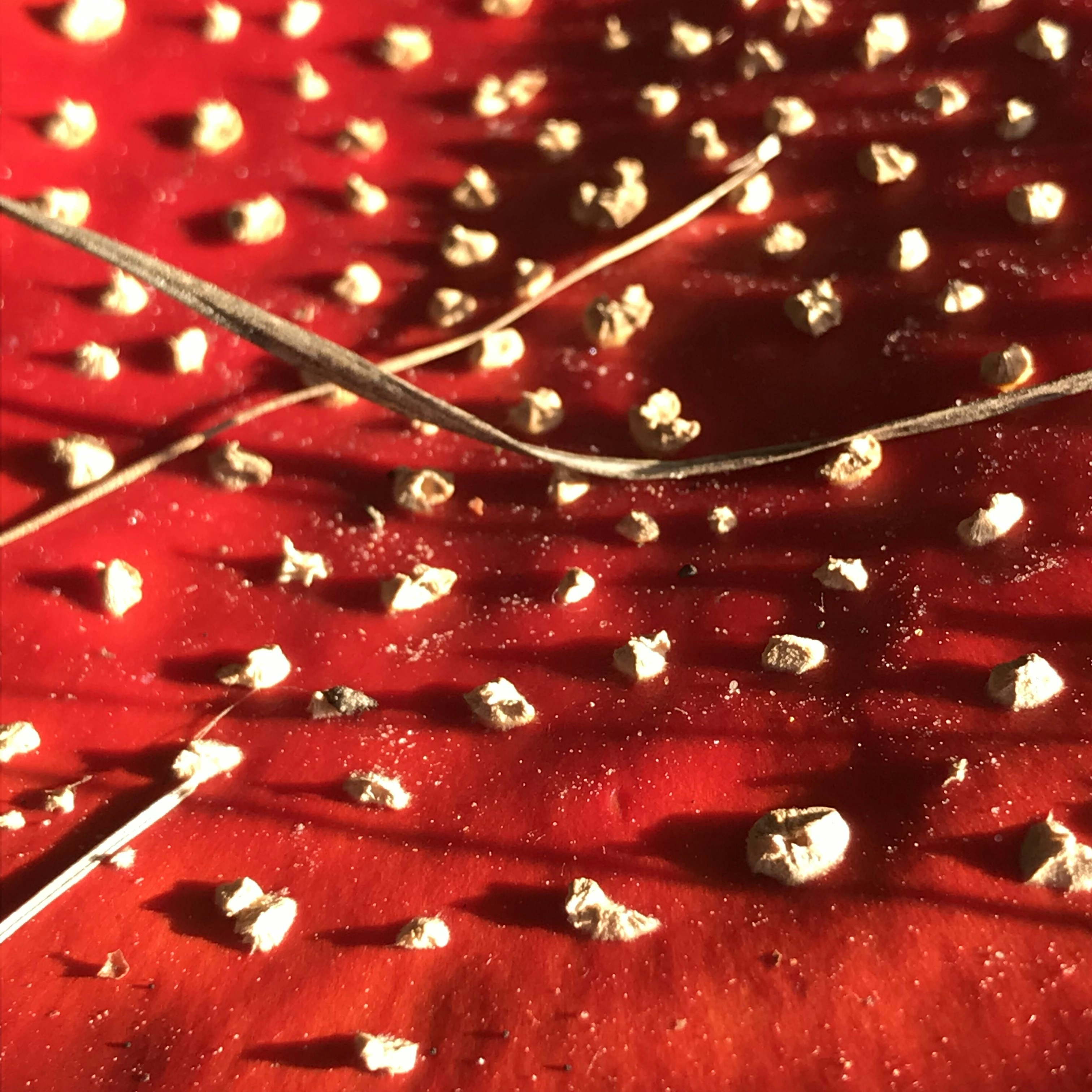 Wassertröpfchen auf einem roten Blatt