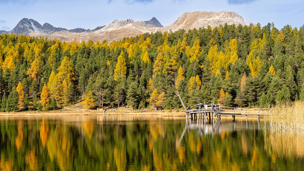 a lake with trees and mountains in the background